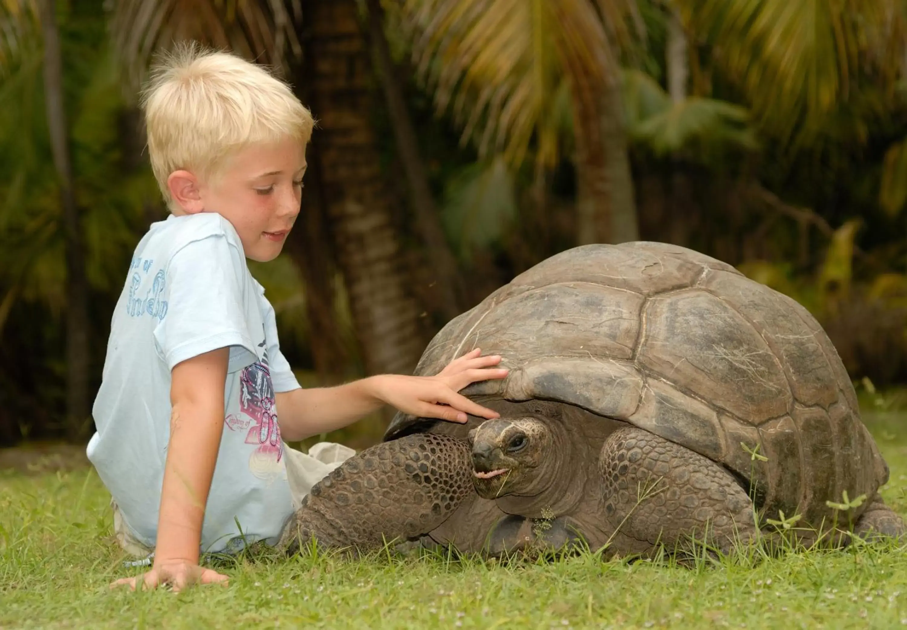 Nearby landmark, Children in Savoy Seychelles Resort & Spa