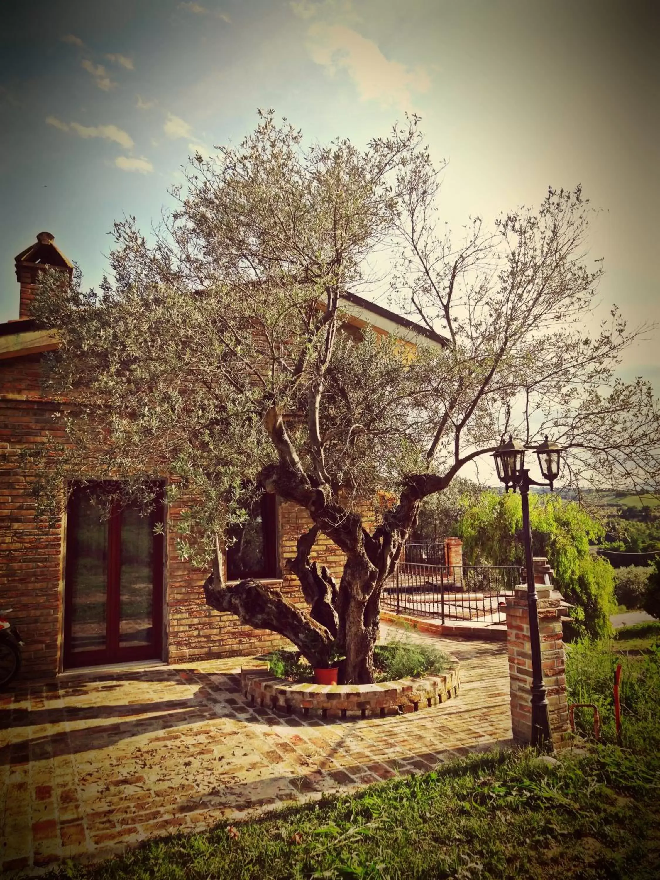 Patio, Garden in Casale del Sole