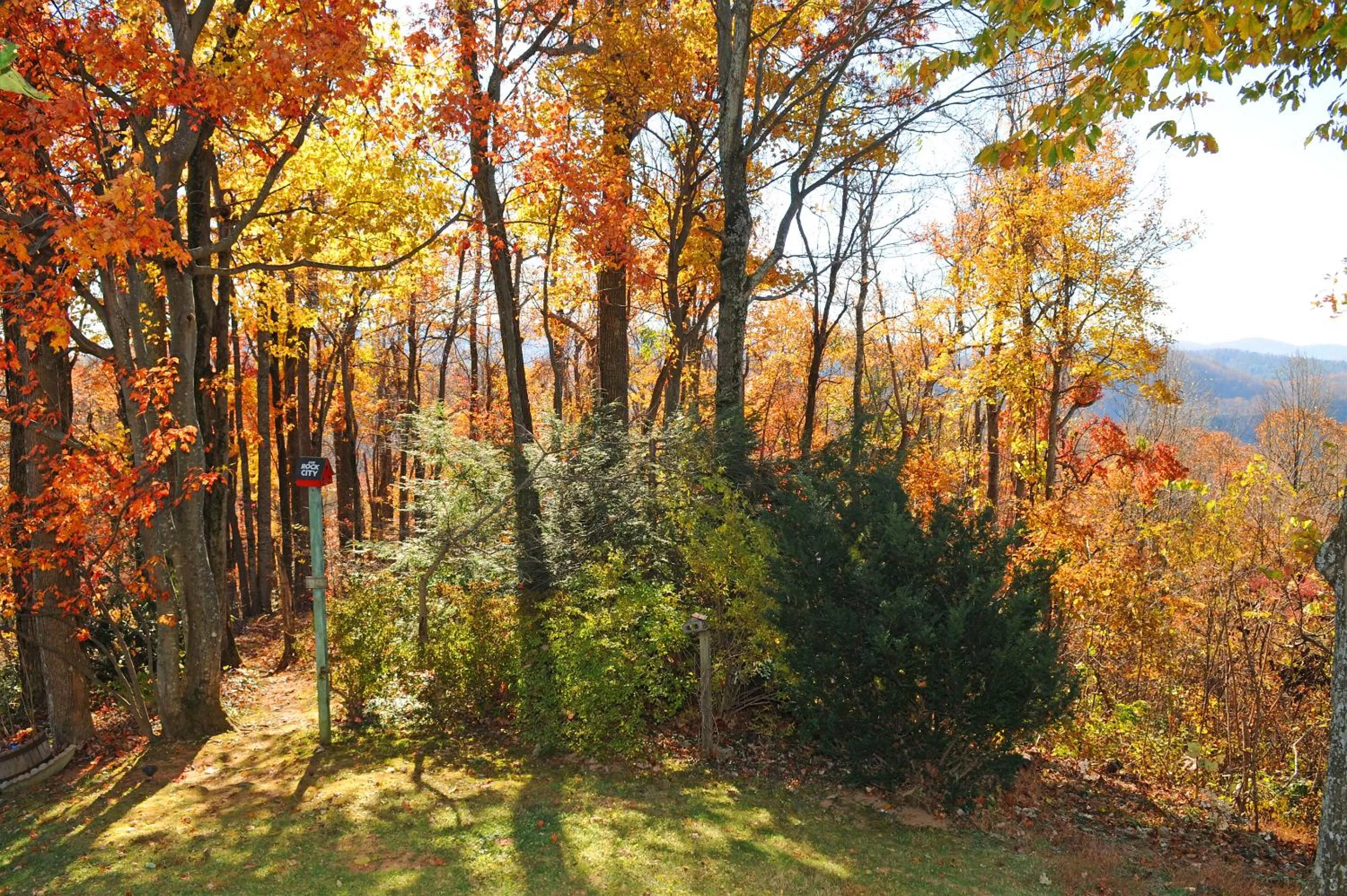 Natural landscape, Garden in Orchard Inn