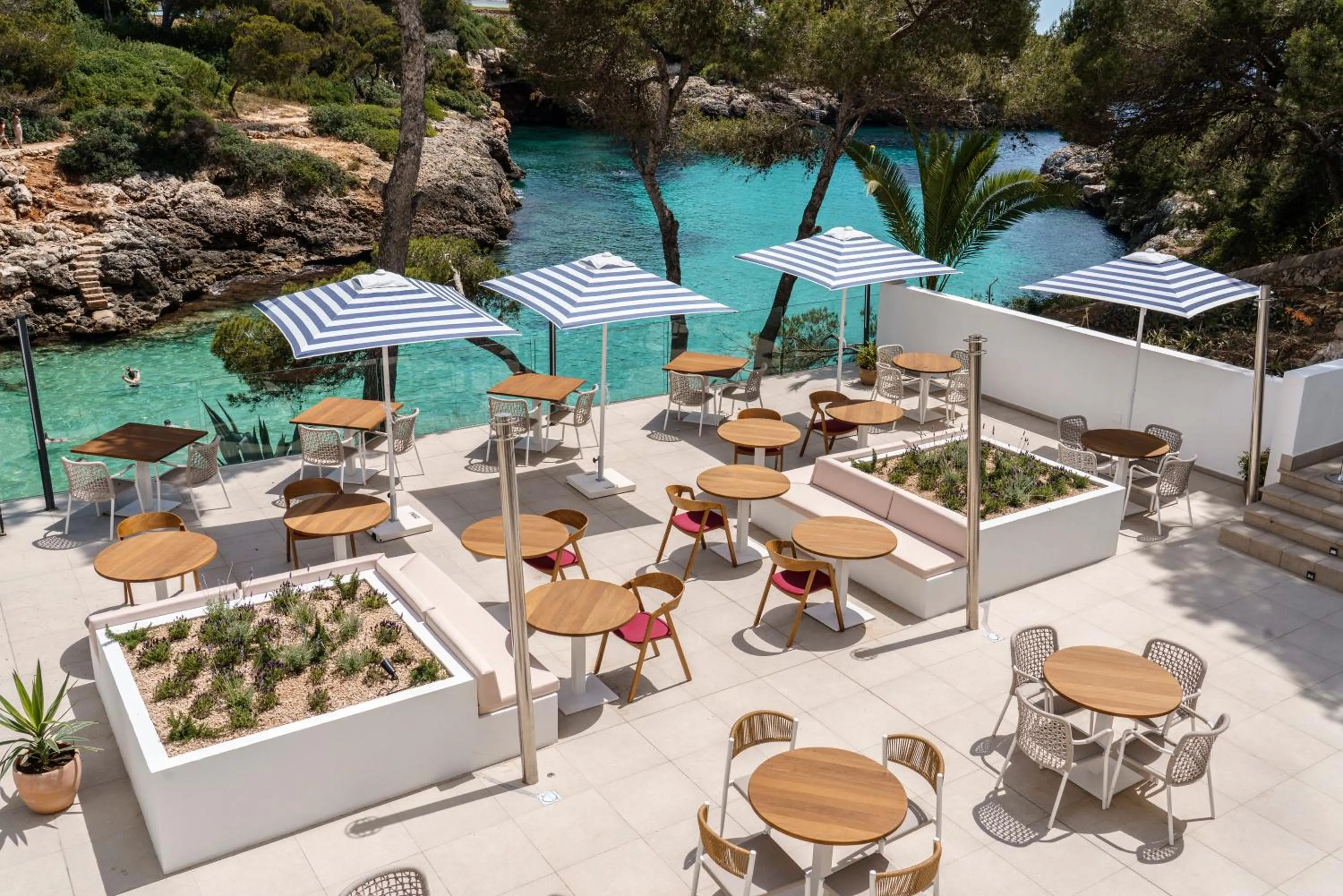 Restaurant/places to eat in AluaSoul Mallorca Resort - Adults only