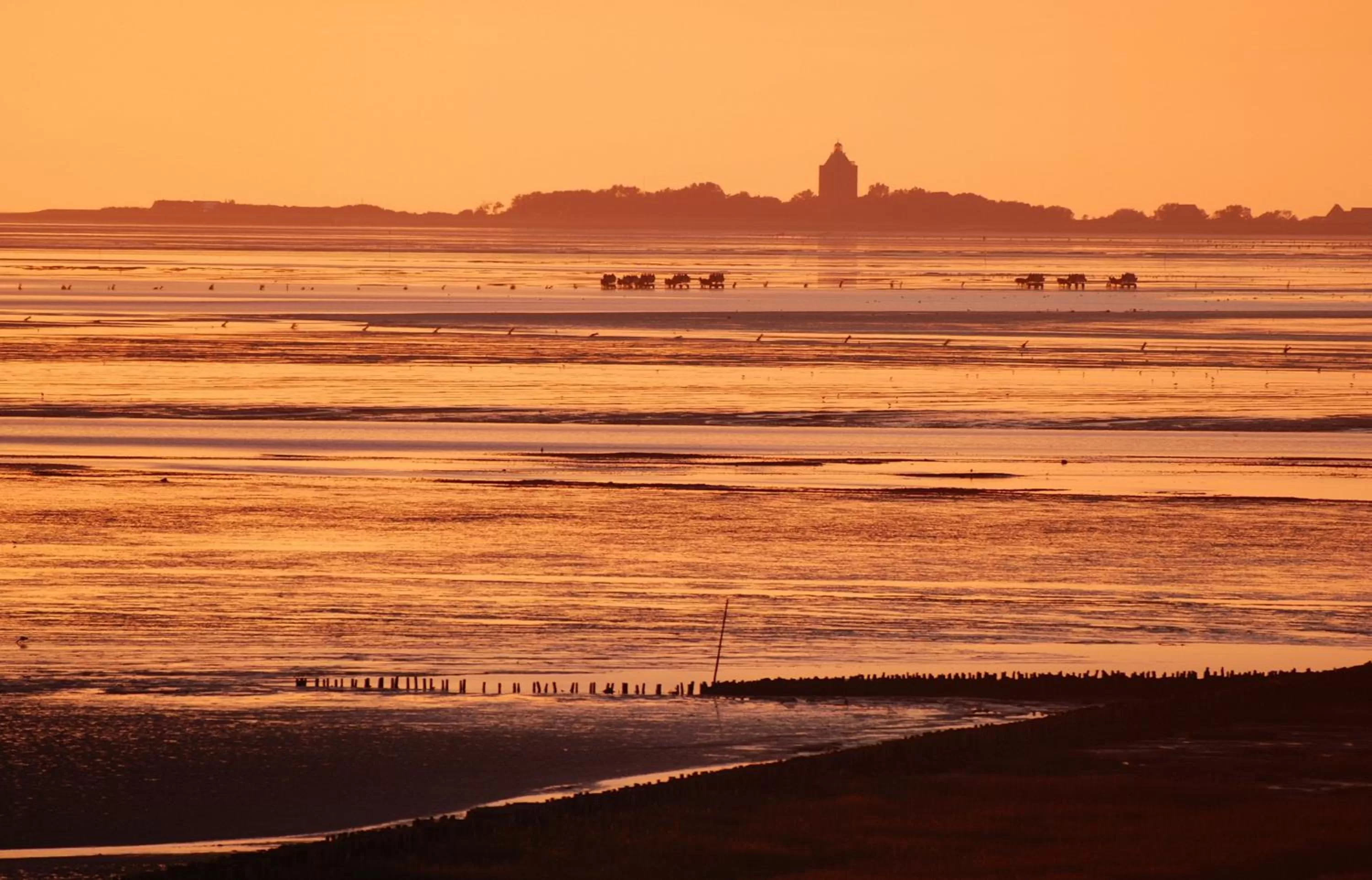 Beach in Hotel Wehrburg