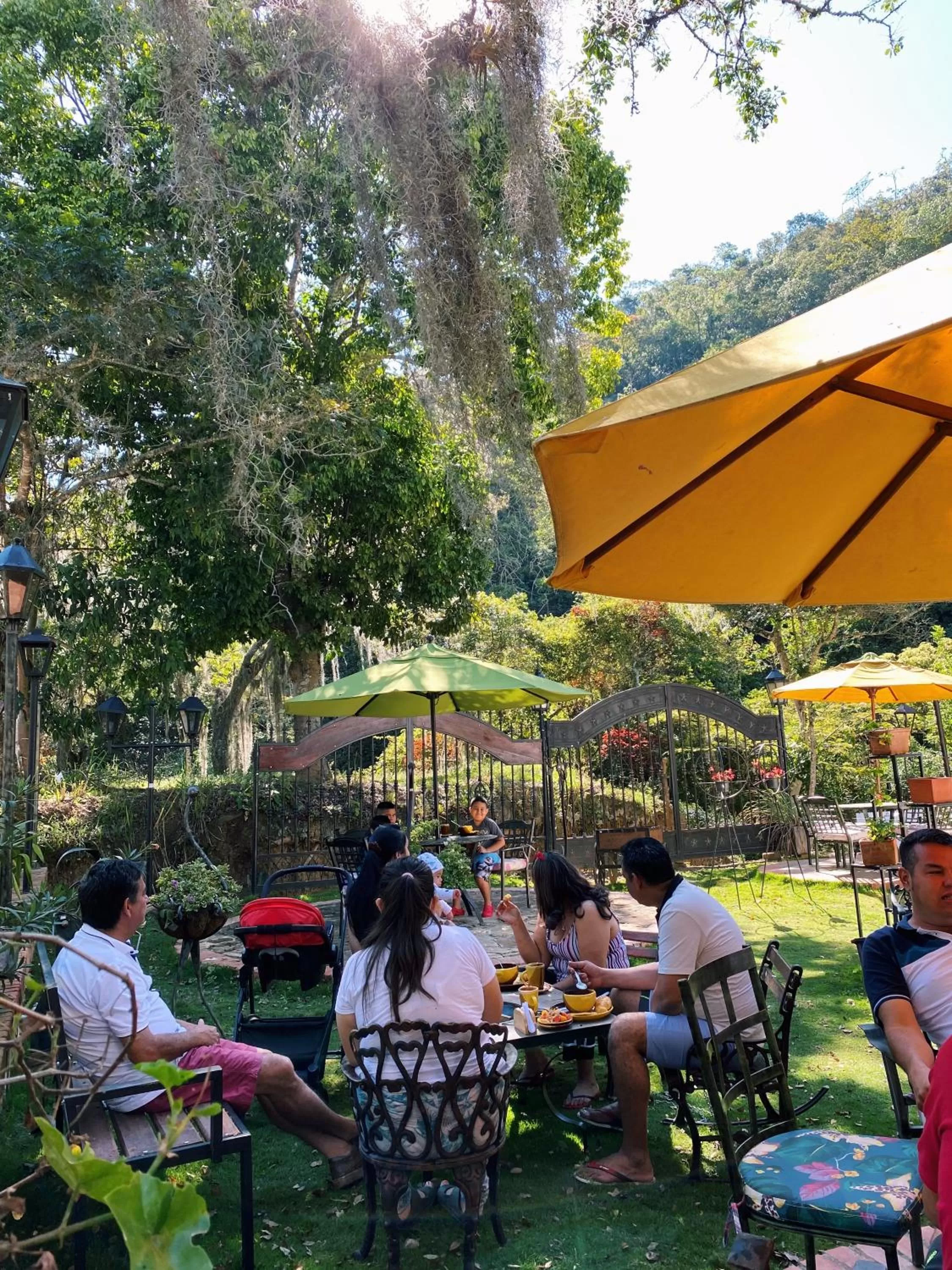 Restaurant/Places to Eat in La Cima