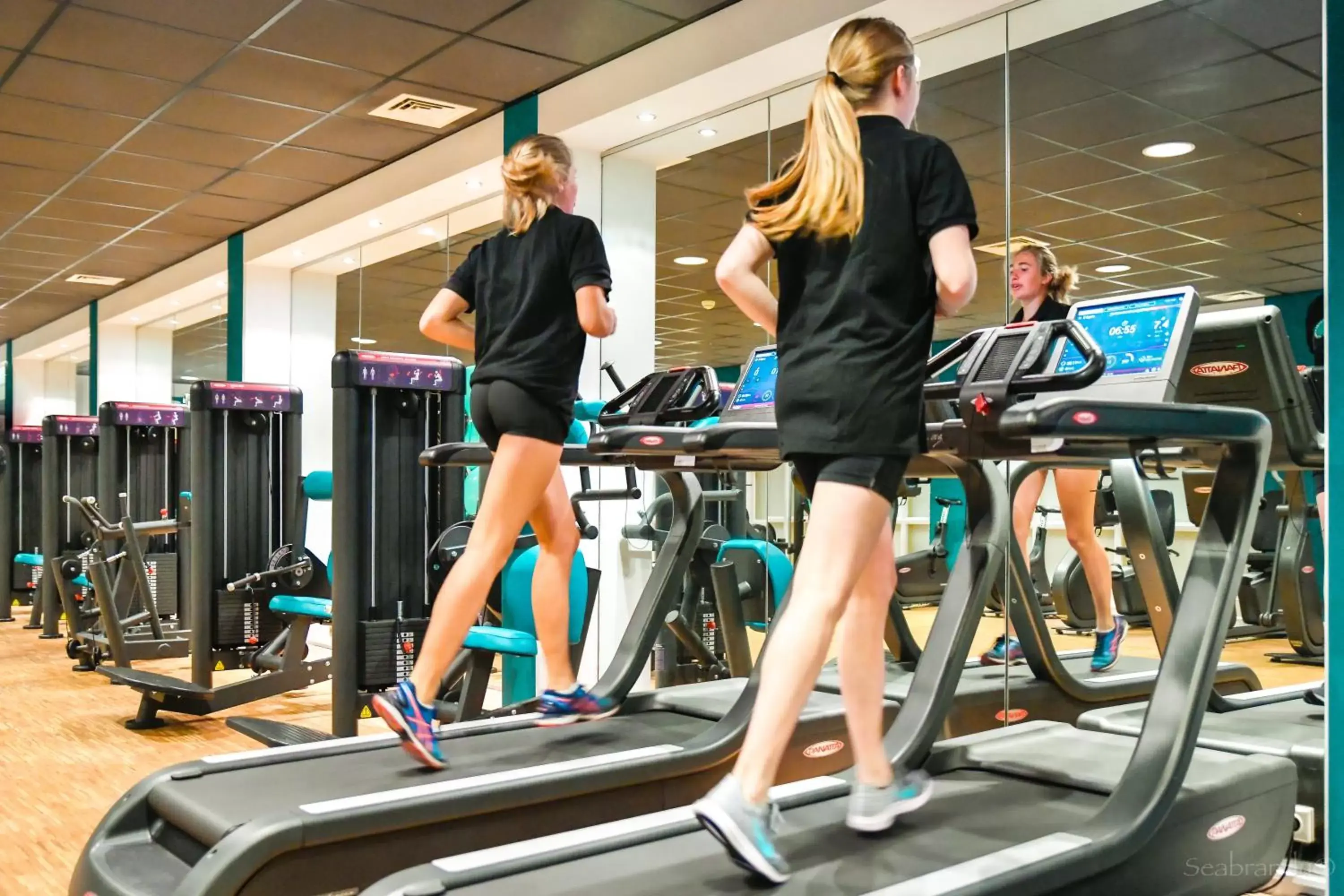 Fitness centre/facilities, Fitness Center/Facilities in Heerlickheijd van Ermelo