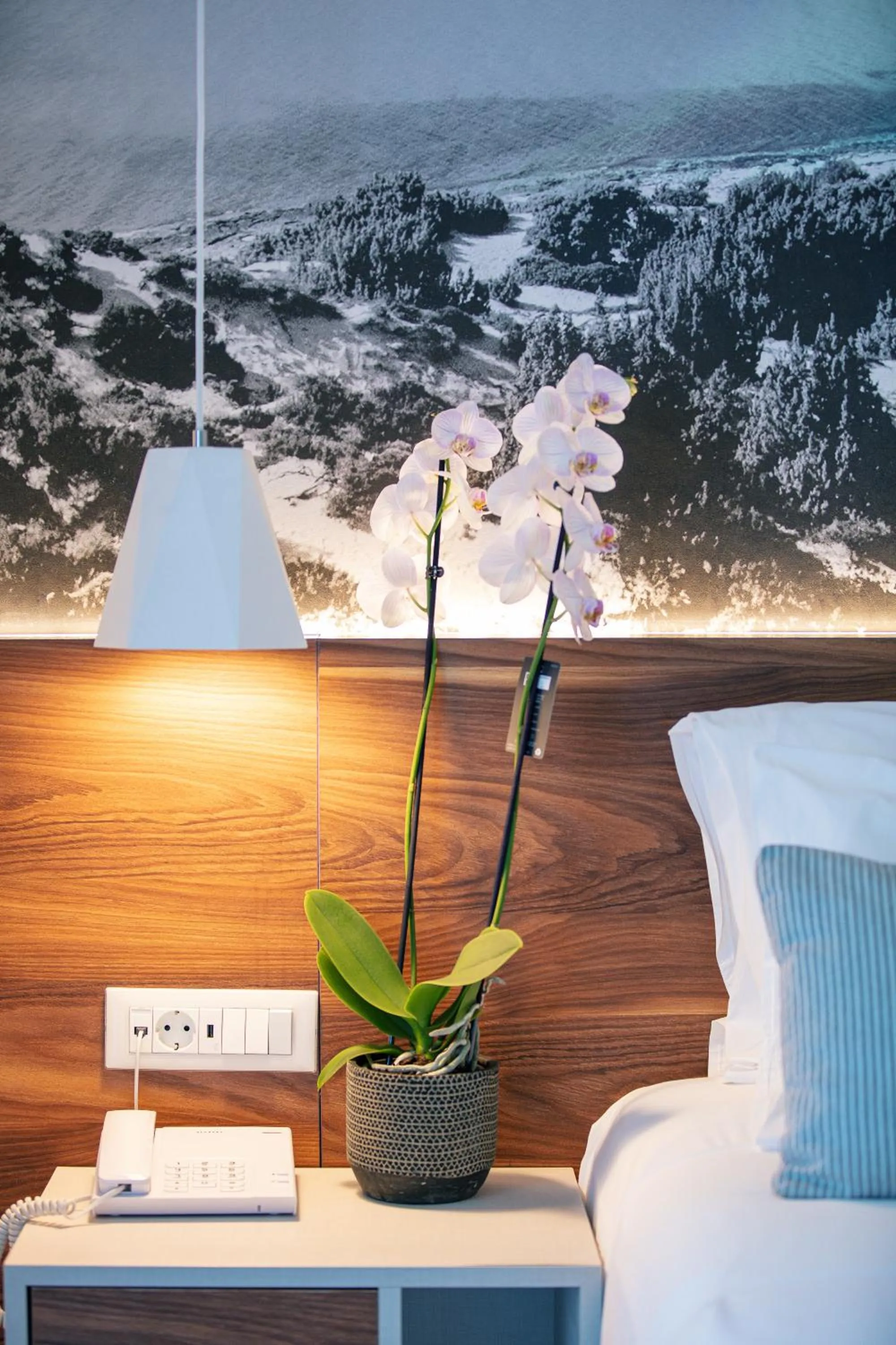 Decorative detail in Atrium Ambiance Hotel