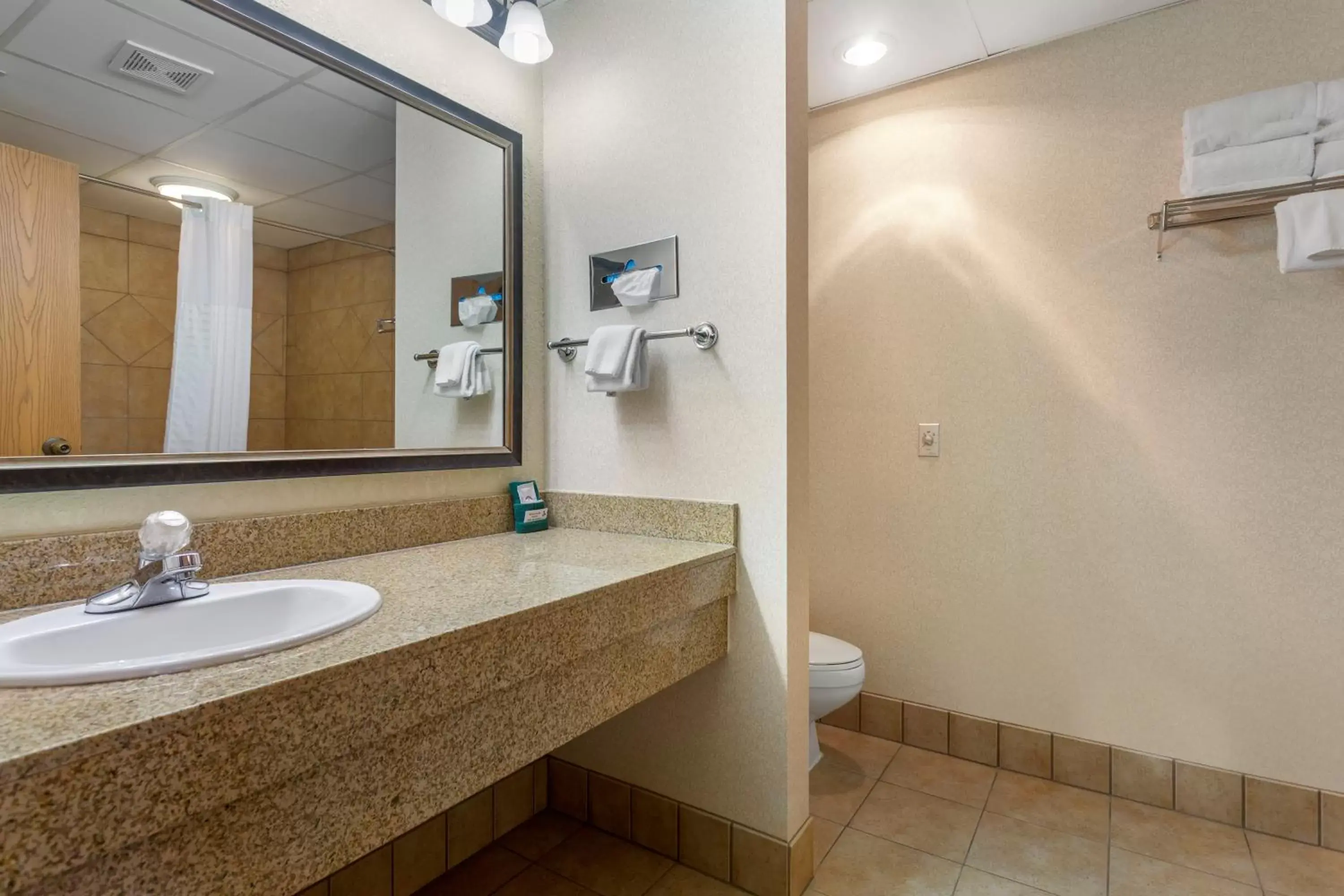Bathroom in Comfort Inn at Thousand Hills