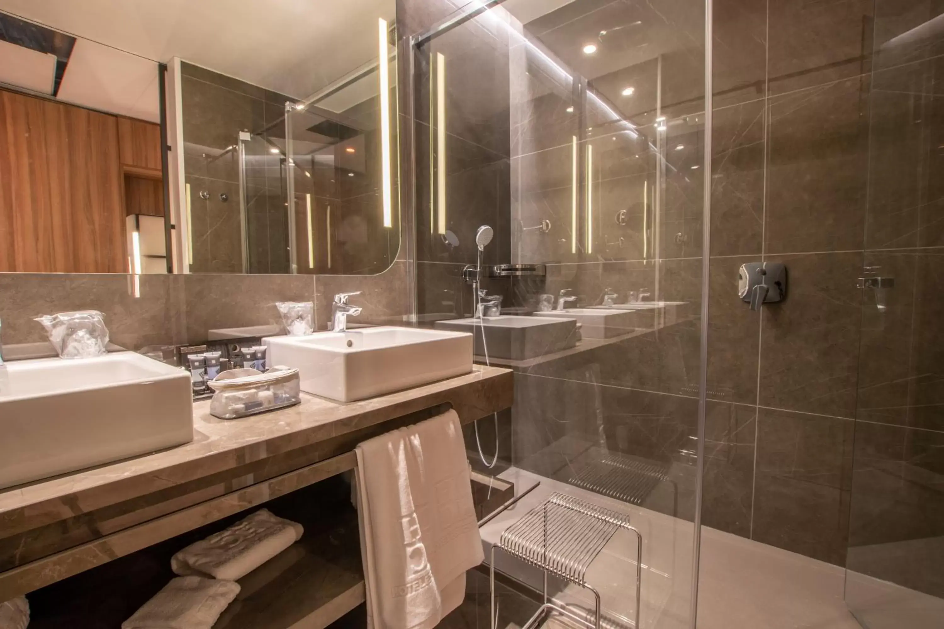 Shower, Bathroom in Hotel Giralda Center