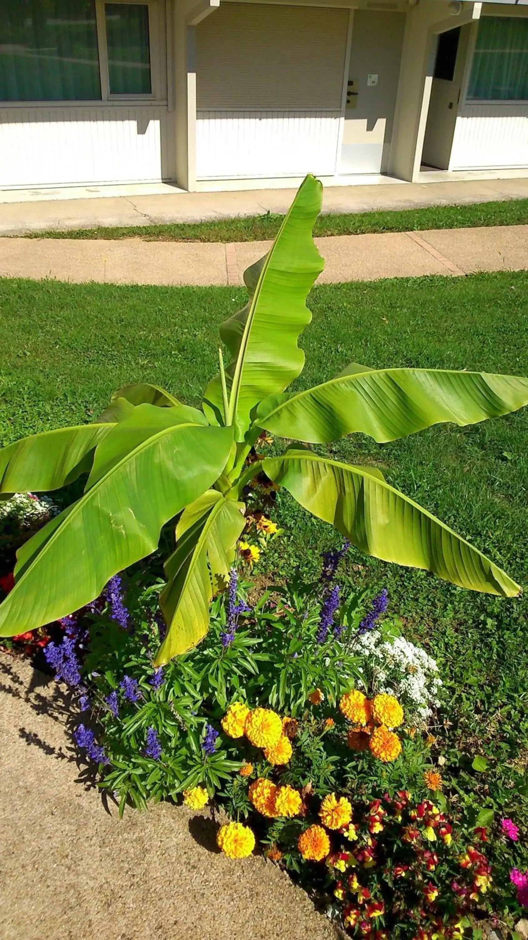 Garden in Hotel Campanile Besançon Nord Ecole Valentin