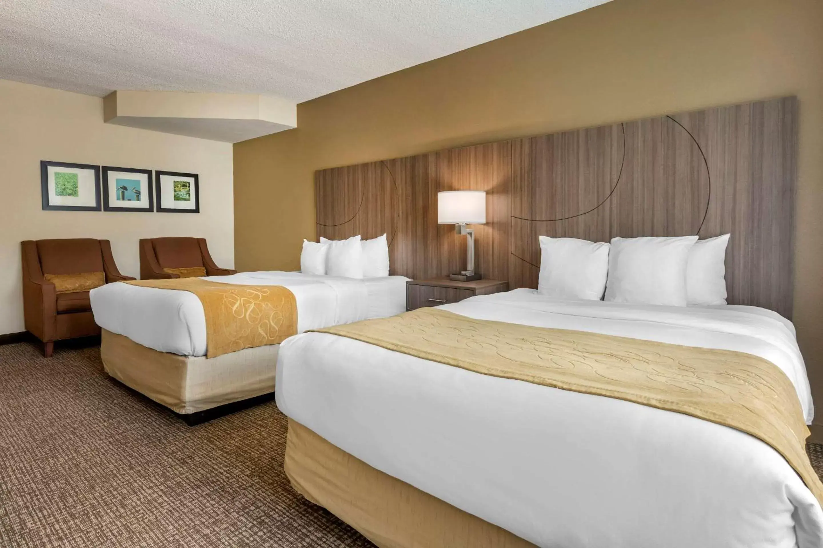 Photo of the whole room, Bed in Comfort Suites Sawgrass