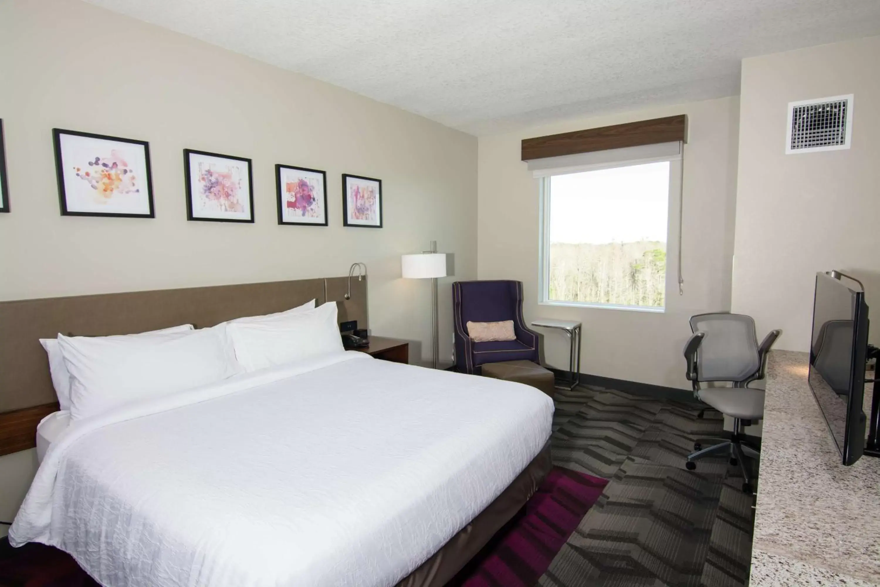 Bedroom, Bed in Hilton Garden Inn Tampa Suncoast Parkway