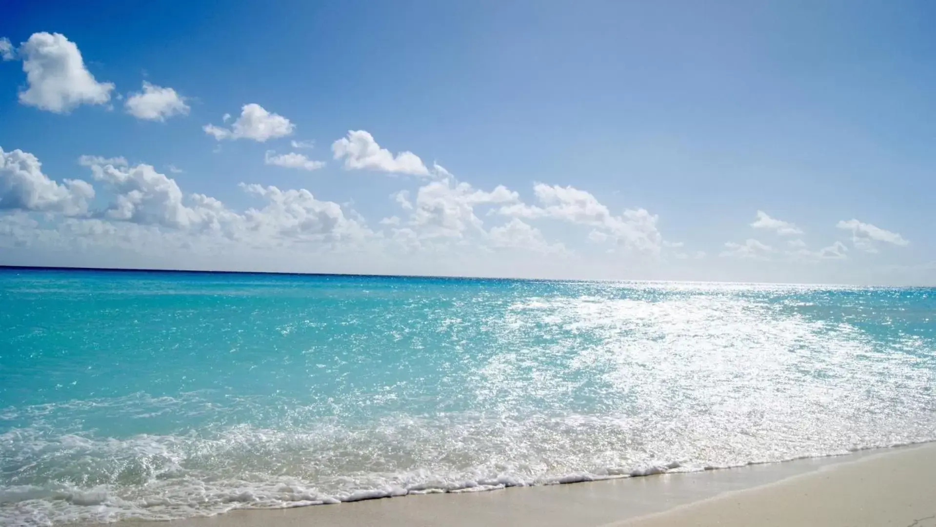 Beach in The Pensacola Beach Resort