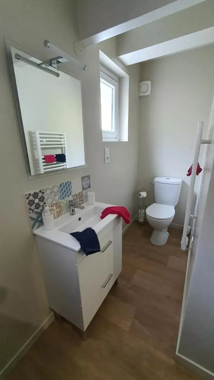 Toilet, Bathroom in Chambre Balnéo à Chaumont (Maison Bonhage)