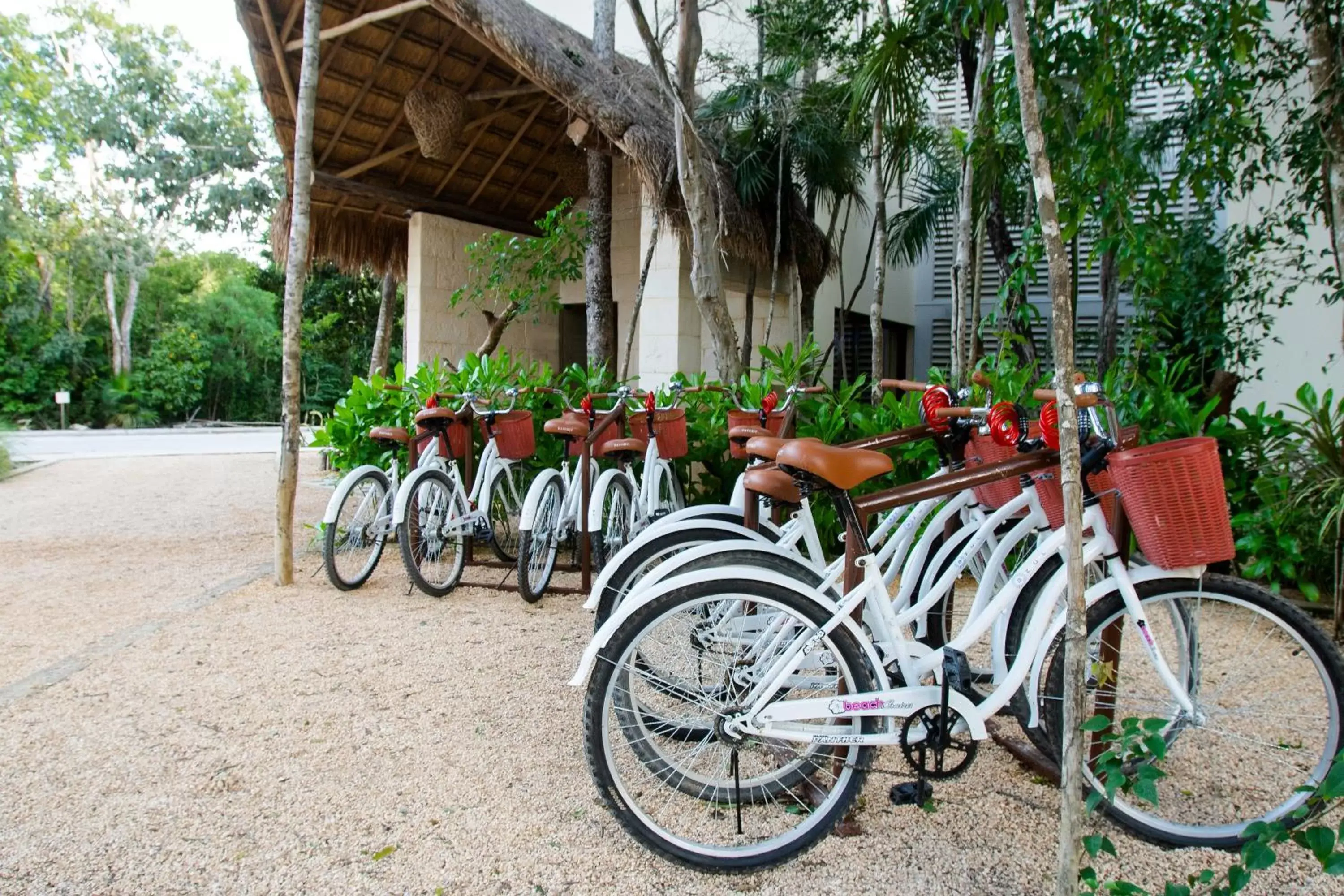 Cycling, Other Activities in Azul Tulum by GuruHotel