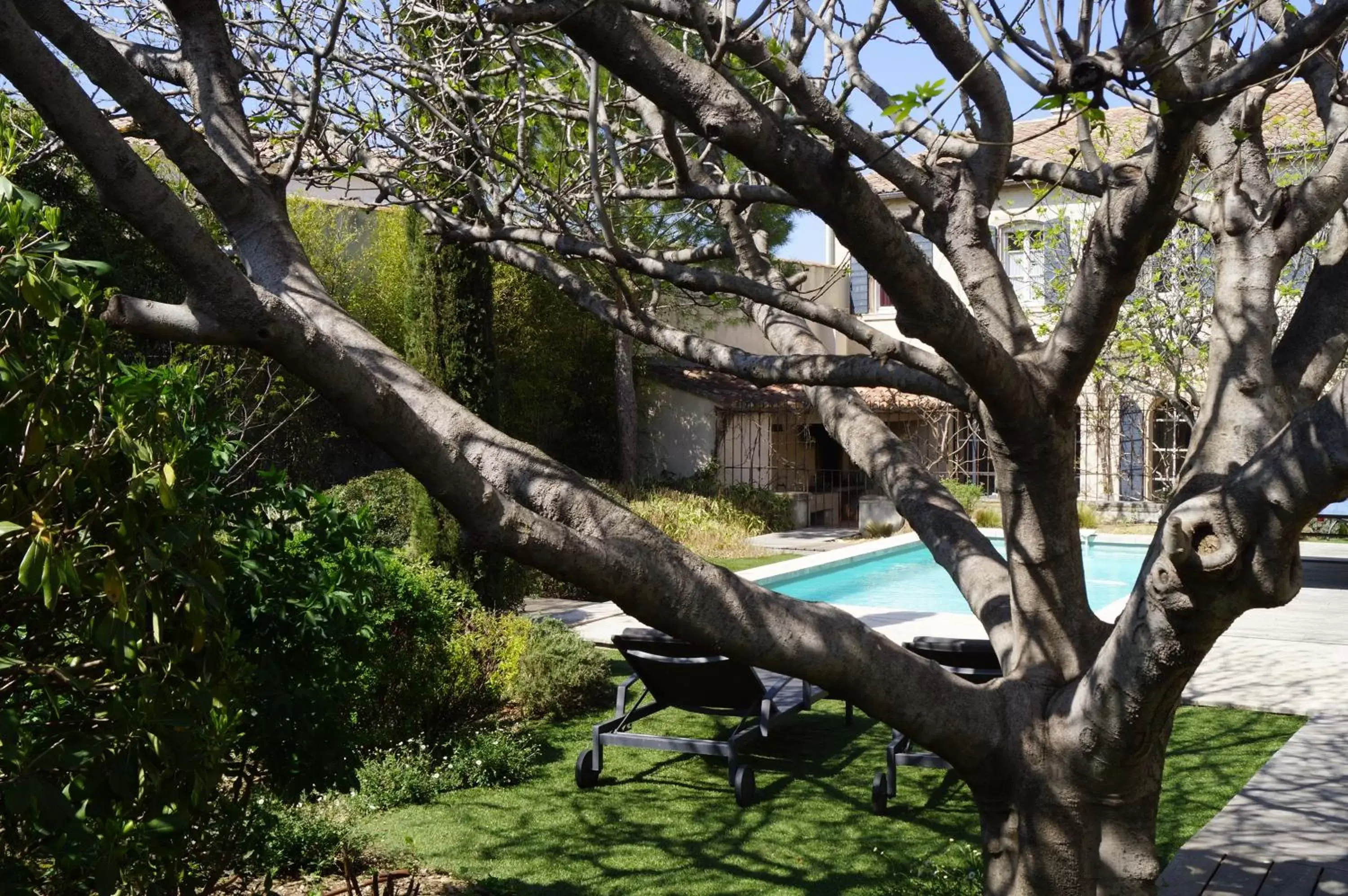 Swimming Pool in Domaine de la Girafe