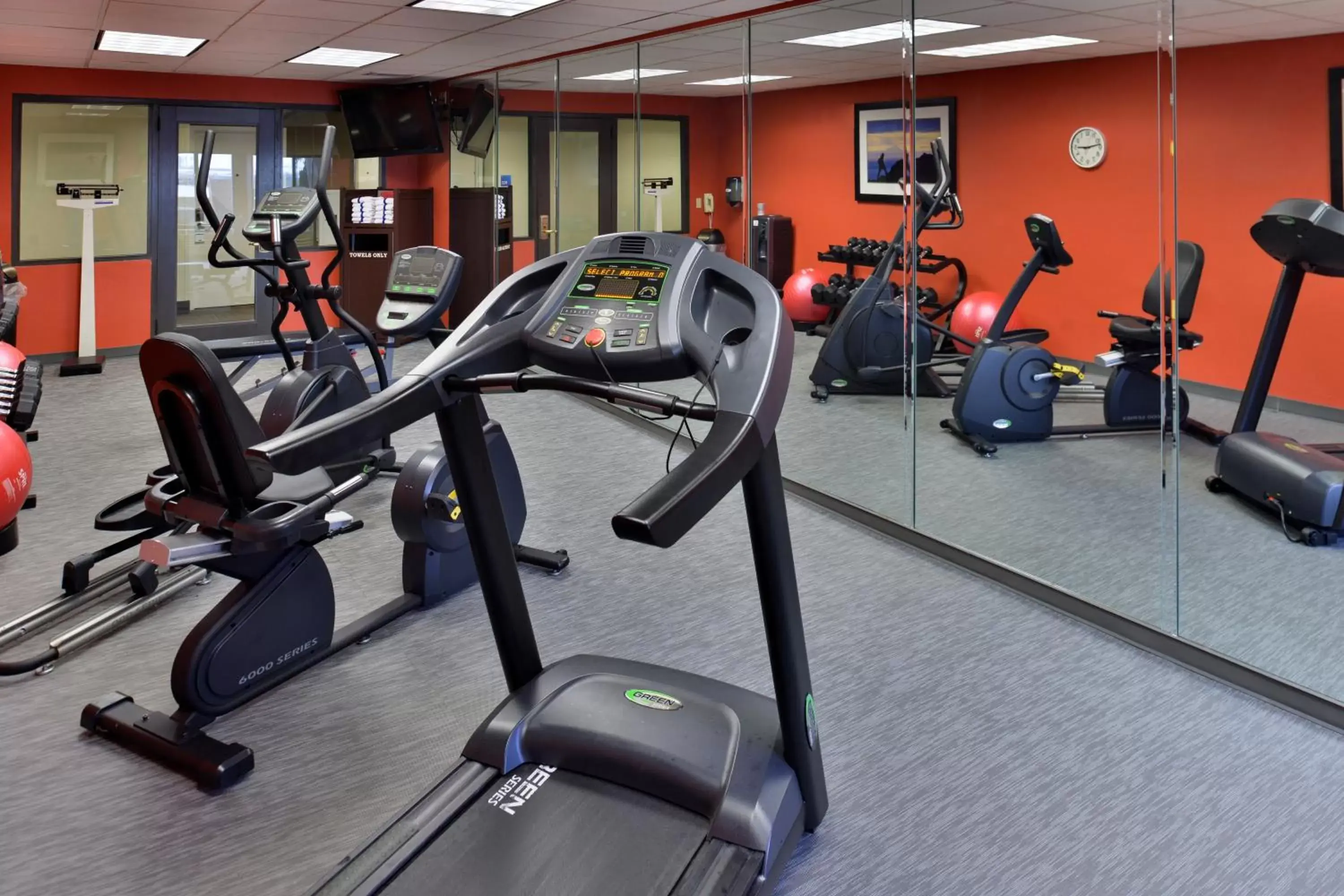 Fitness centre/facilities, Fitness Center/Facilities in Holiday Inn Express Hotel & Suites Tampa-Rocky Point Island, an IHG Hotel