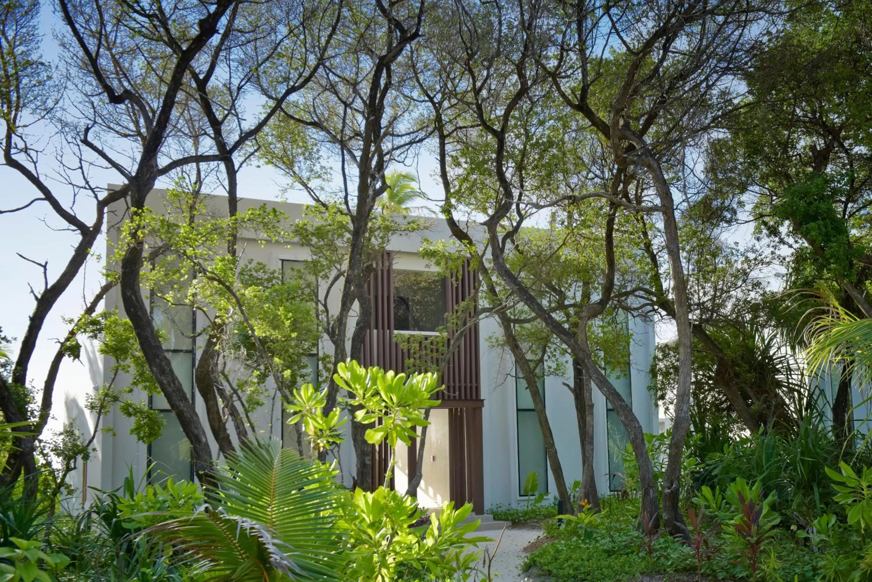 Garden in Kandima Maldives