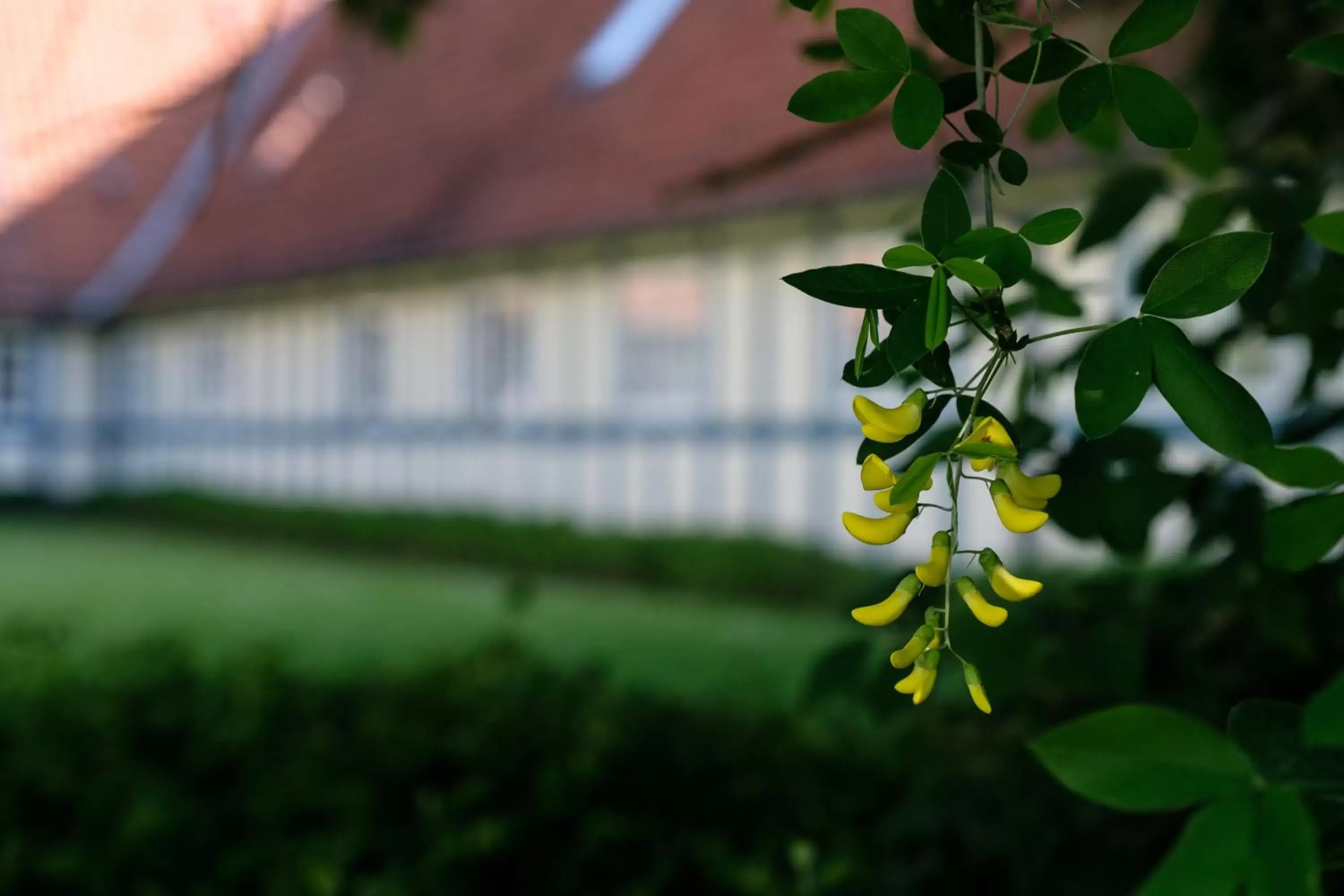 Property building in Hotel Knudsens Gaard