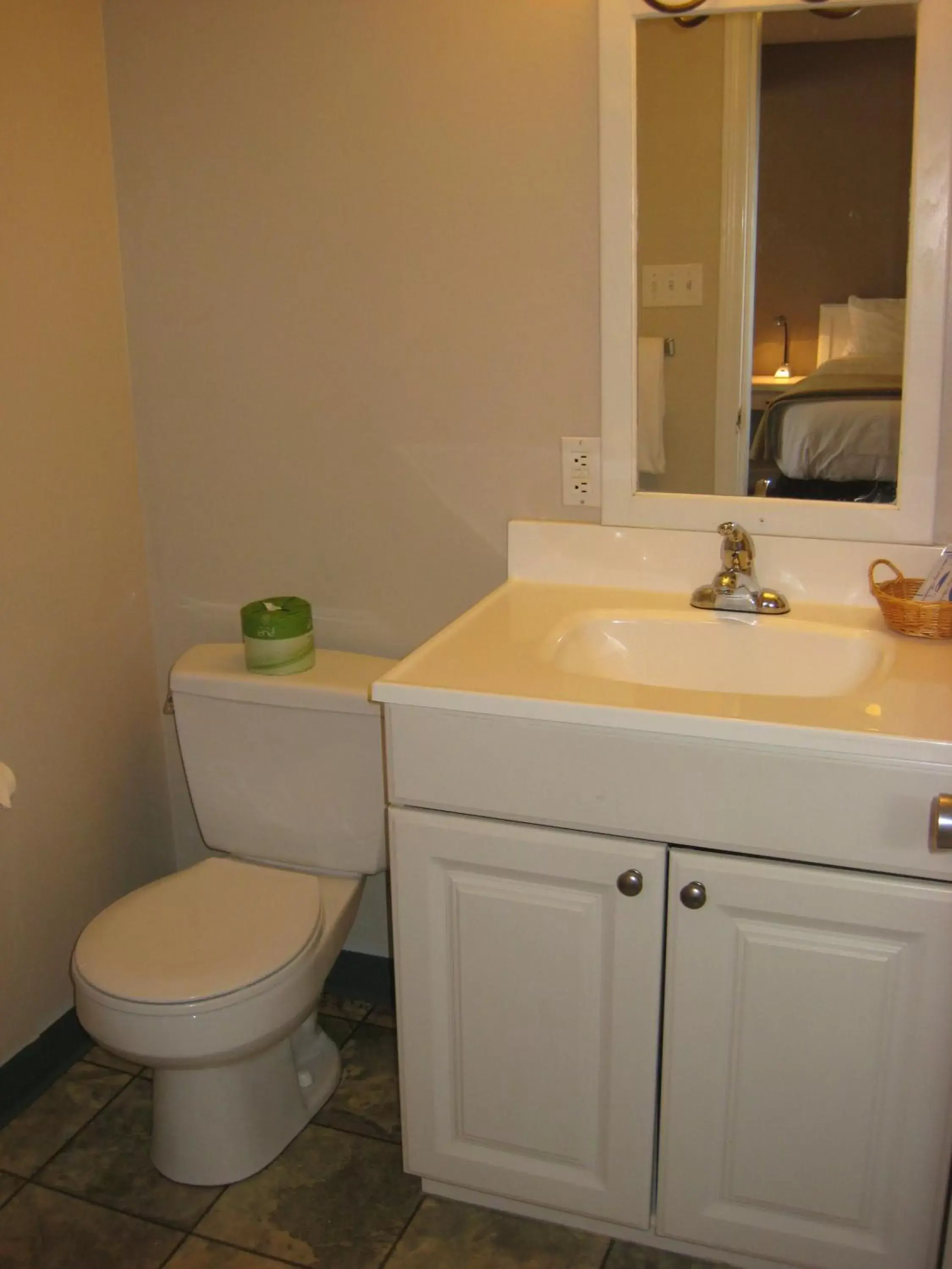 Toilet, Bathroom in Monashee Lodge