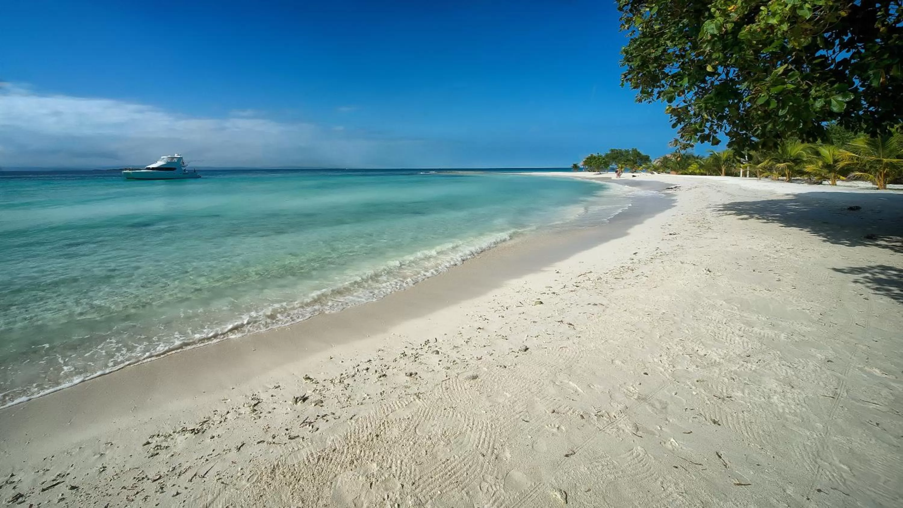 Fishing in Wild Orchid