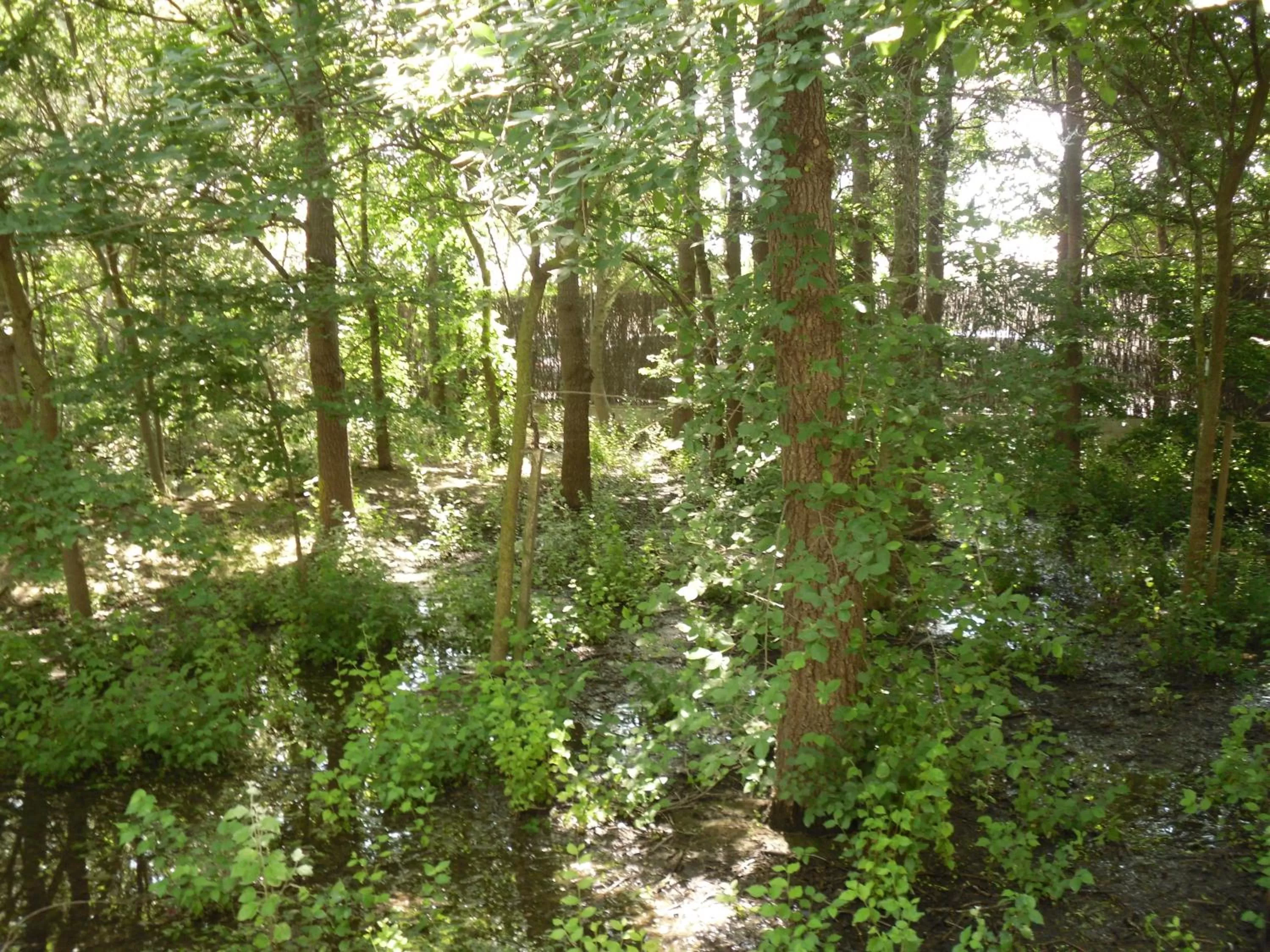 Area and facilities in Hotel Can Batiste