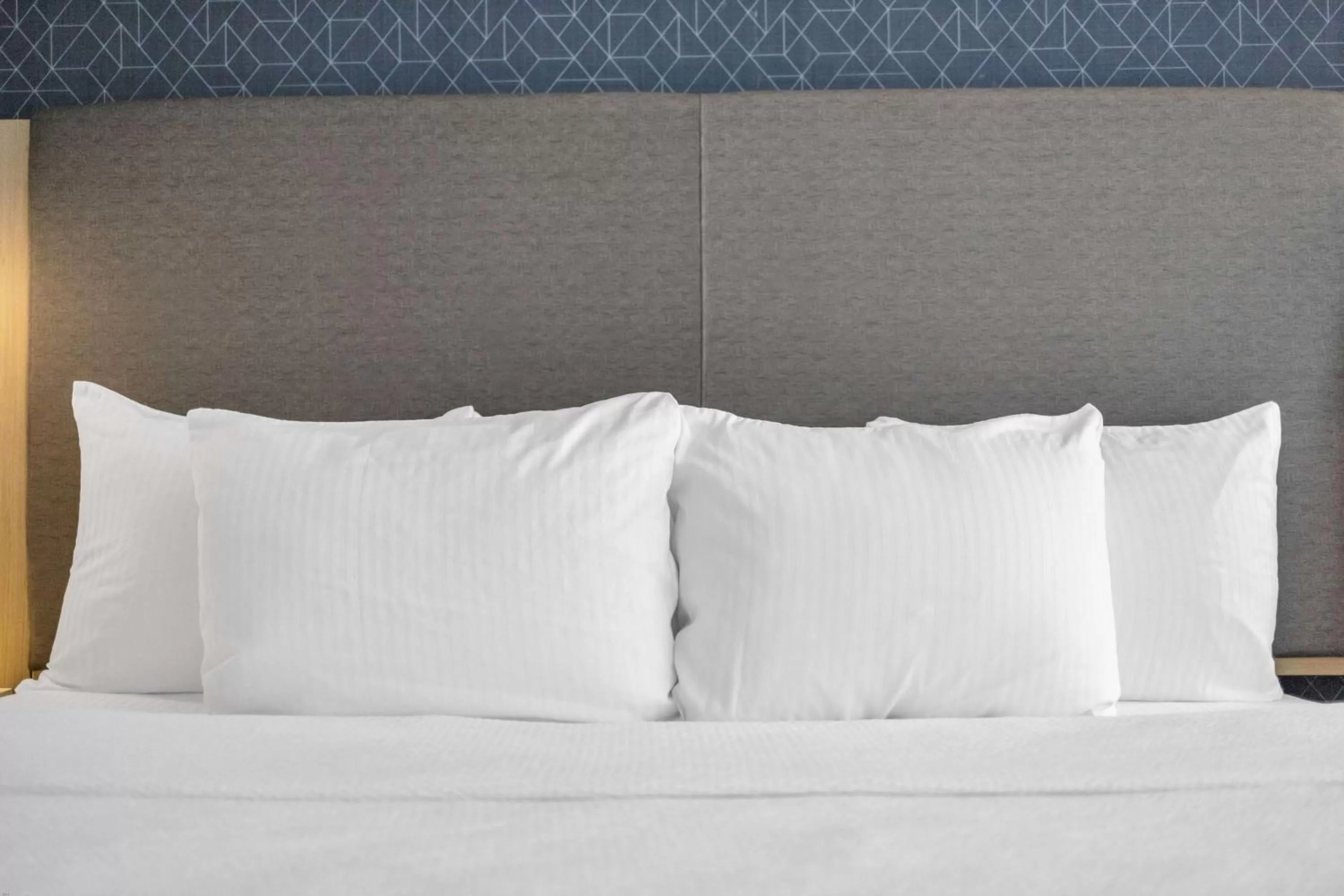 Photo of the whole room, Bed in La Quinta Inn & Suites by Wyndham San Jose Airport-Downtown