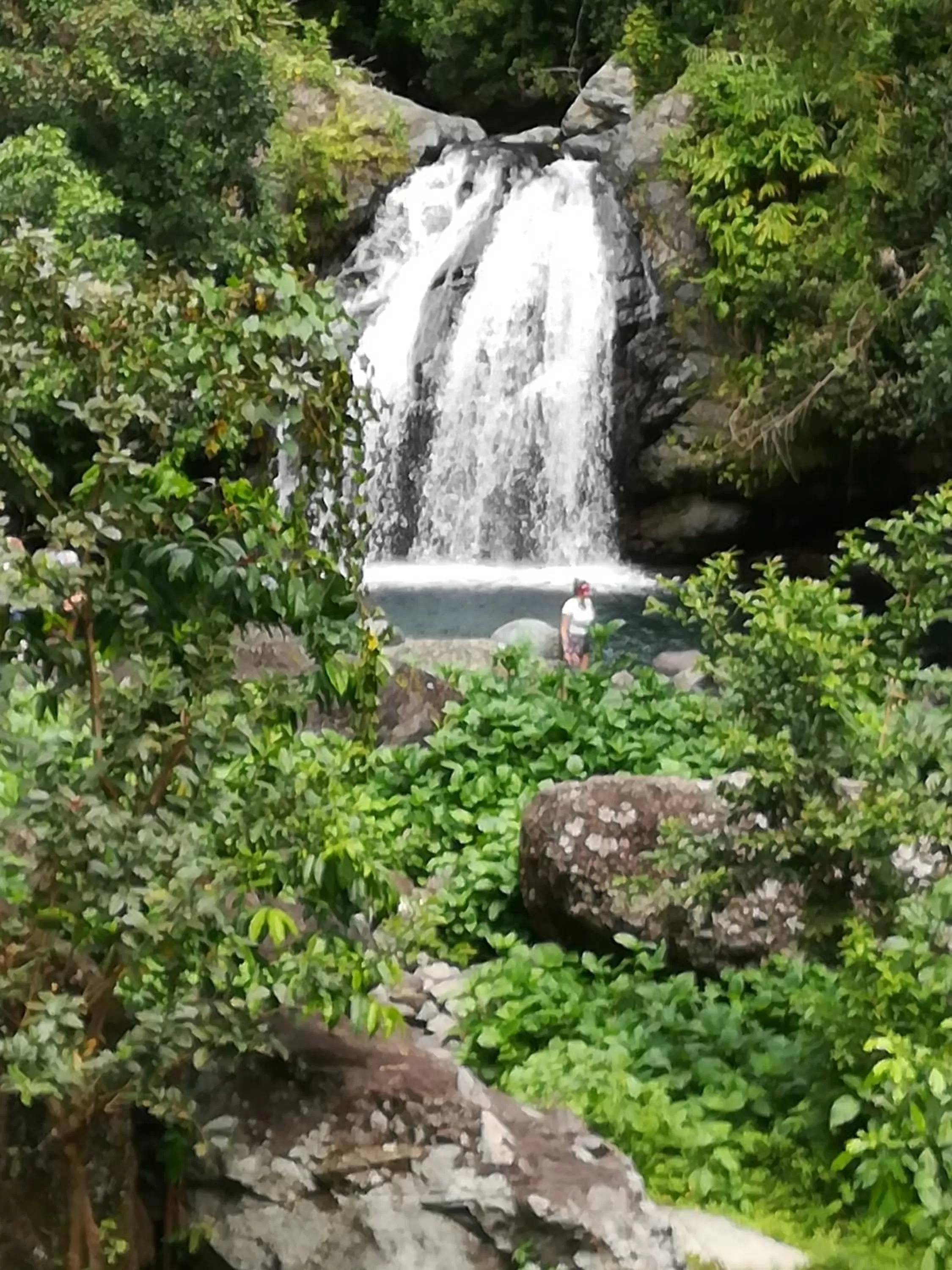 Hiking, Natural Landscape in TOGA GUEST HOUSE