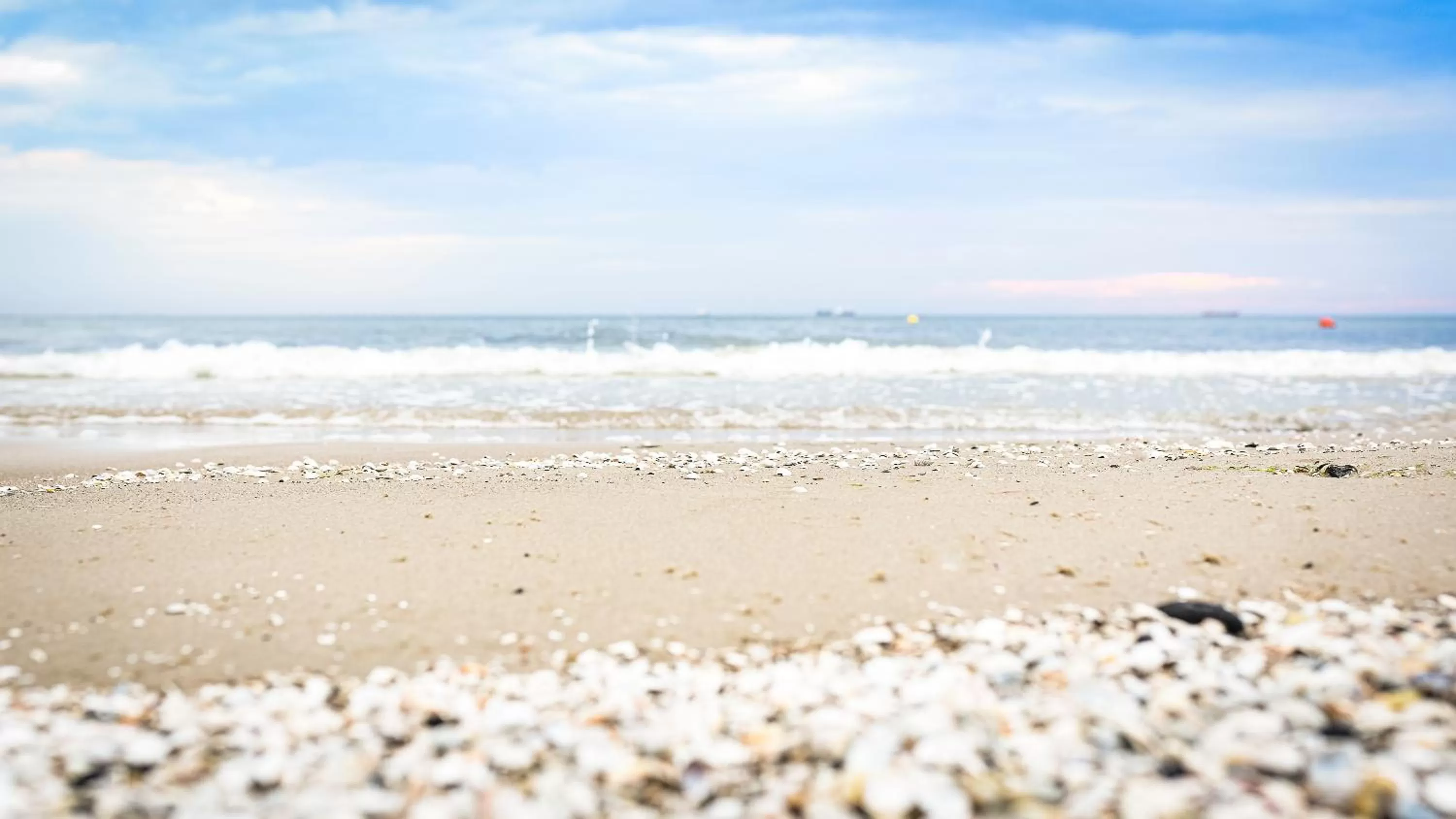 Beach in Villa Bałtycka
