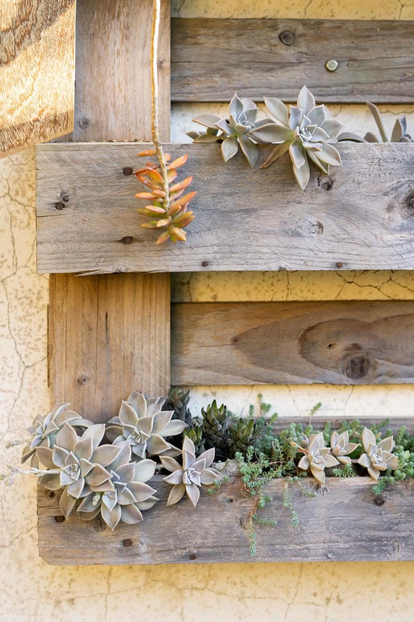 Casa dos Açores Cama e Café