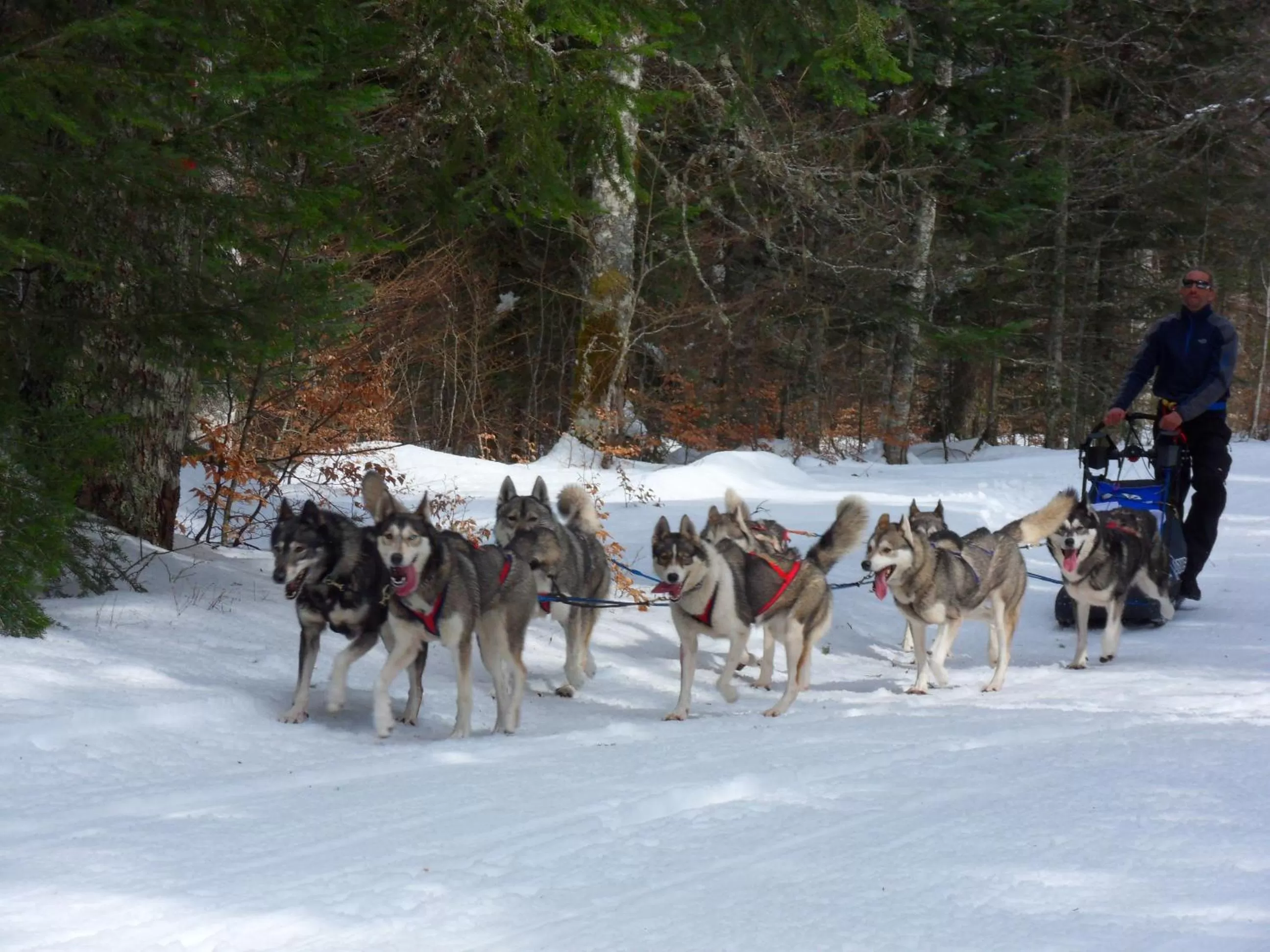 Sports, Winter in L'Estapade des Tourelons