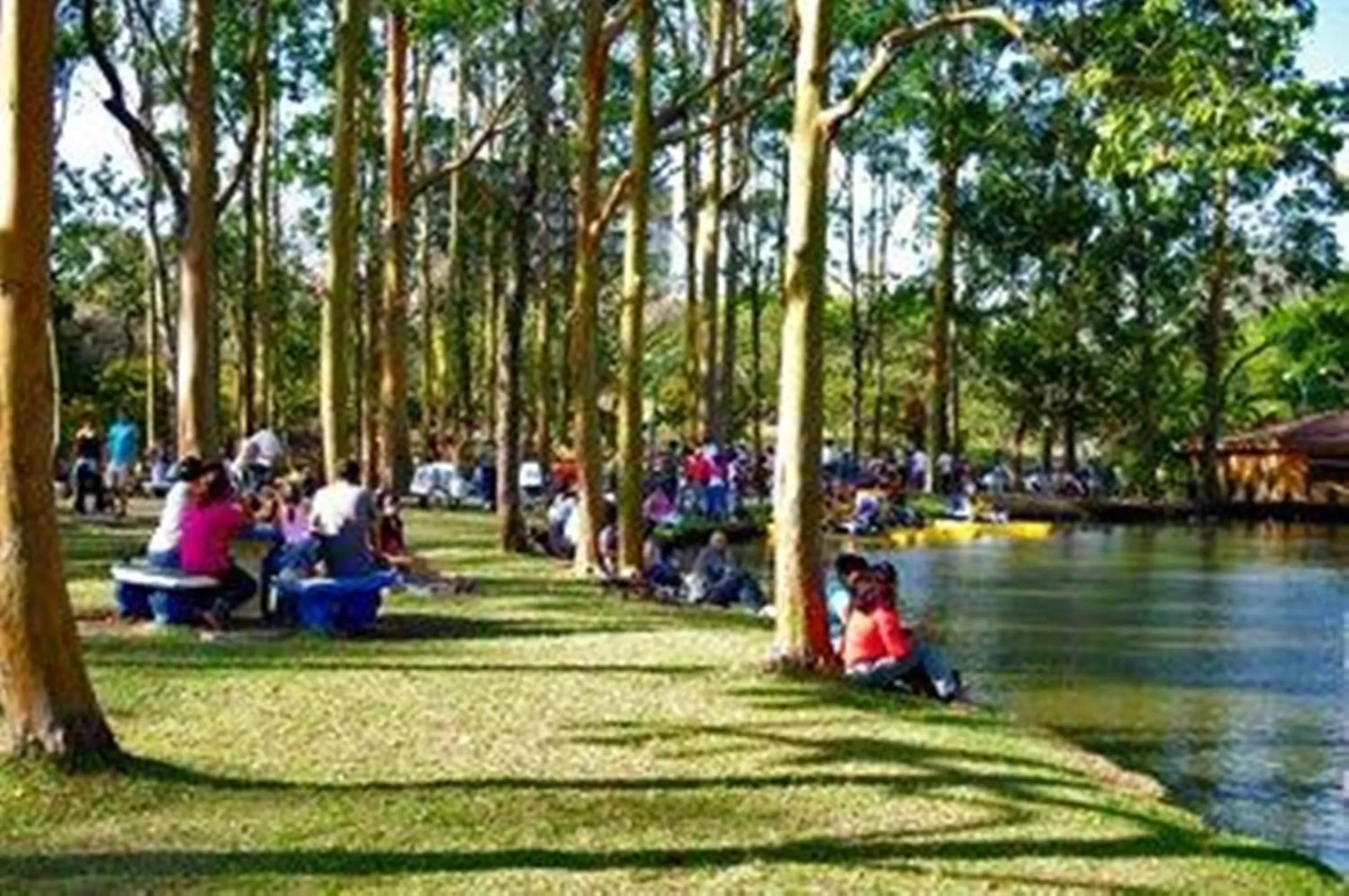 Bird's eye view in Hotel Quinta Avenida