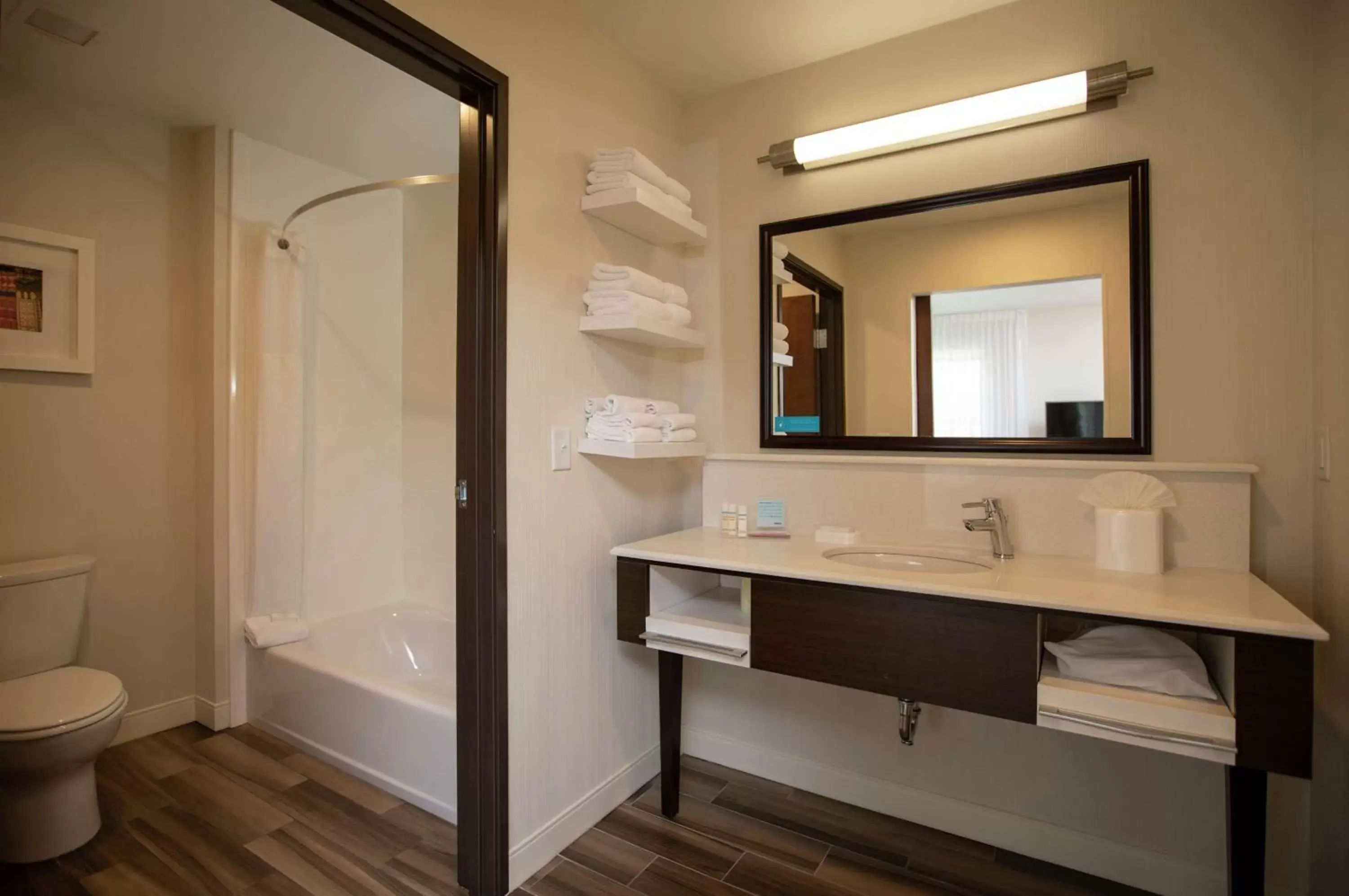 Bathroom in Hampton Inn Mesa Verde/Cortez Co