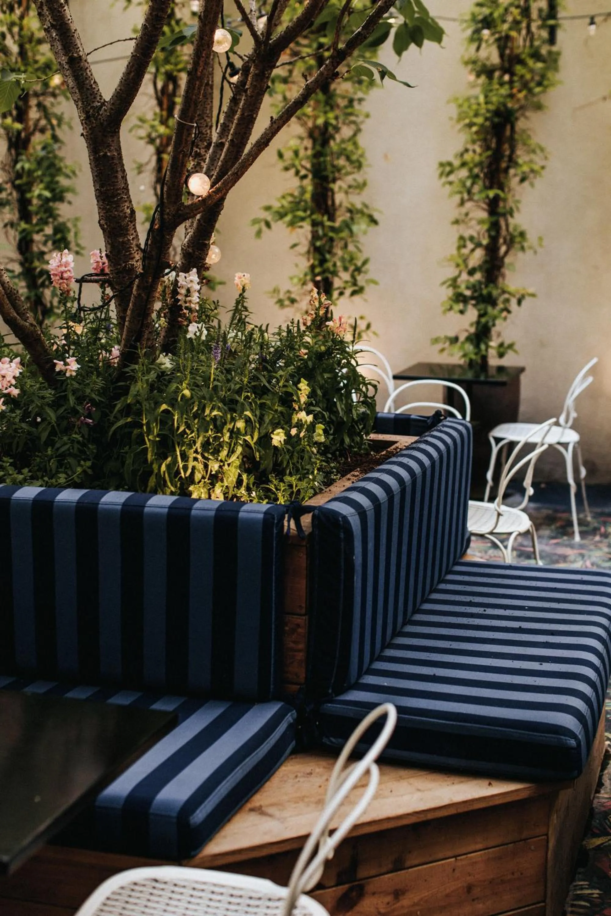 Patio in Hôtel Bienvenue