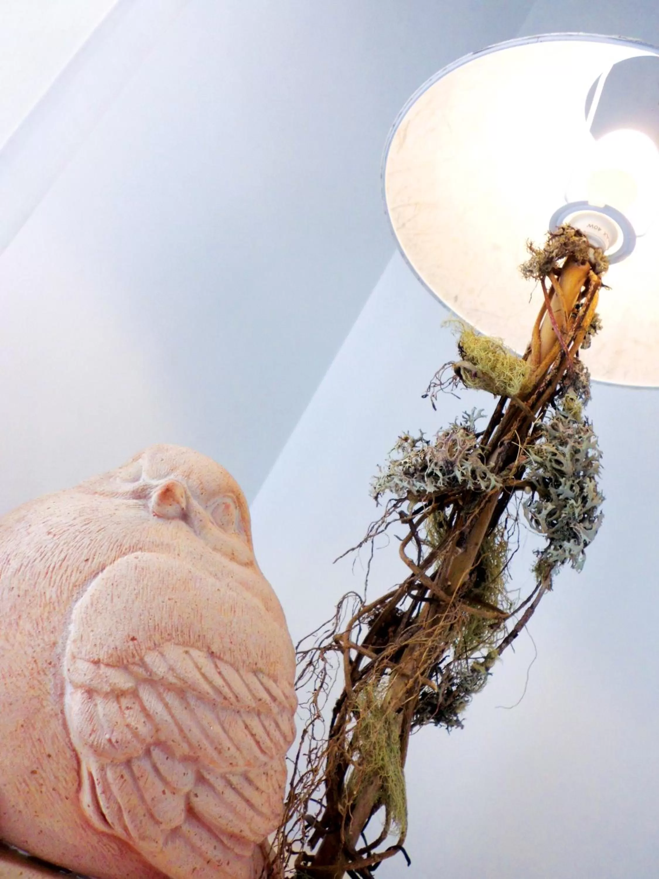 Other in B&B More Than Rome