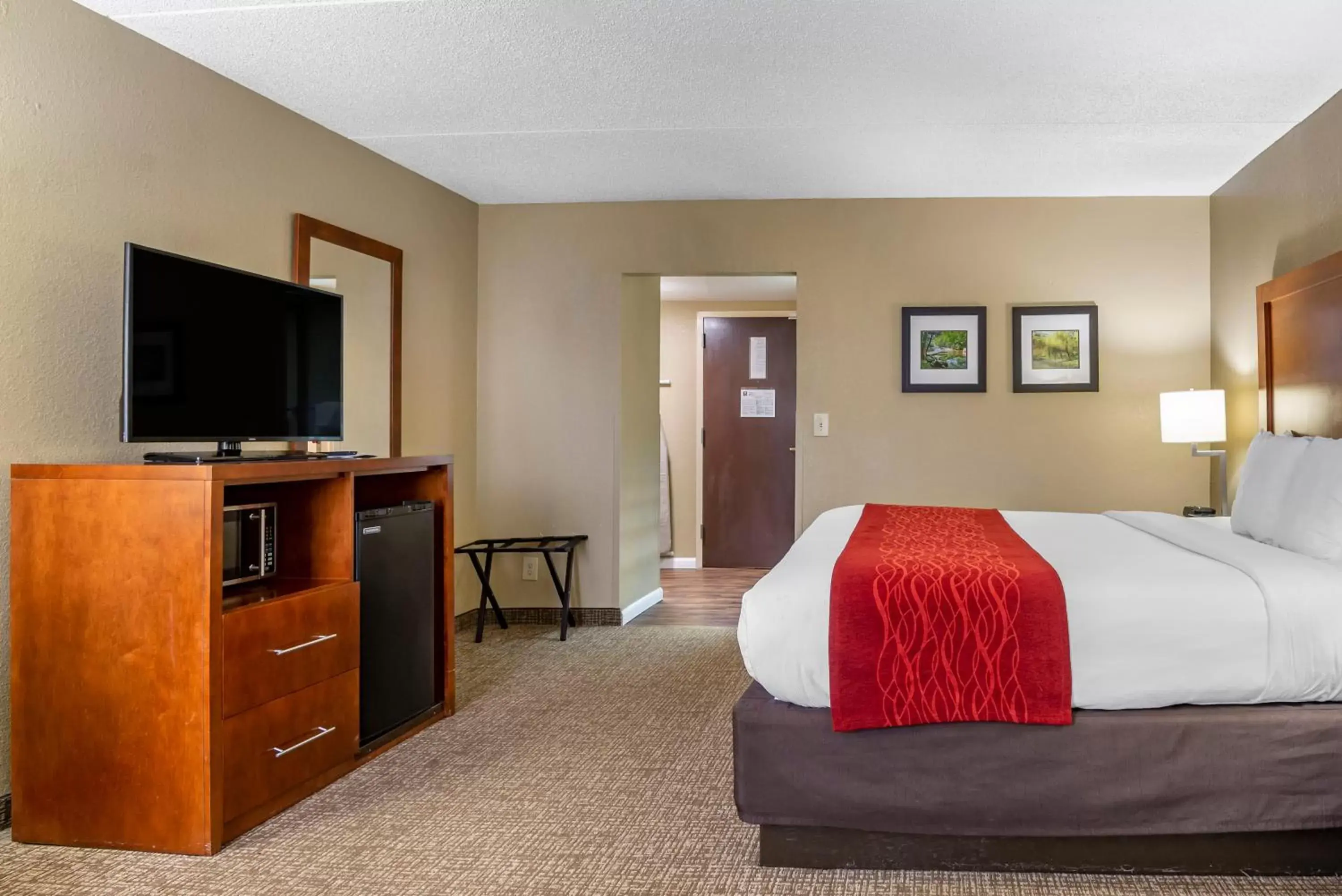 TV/Entertainment Center in Comfort Inn Matthews / Charlotte