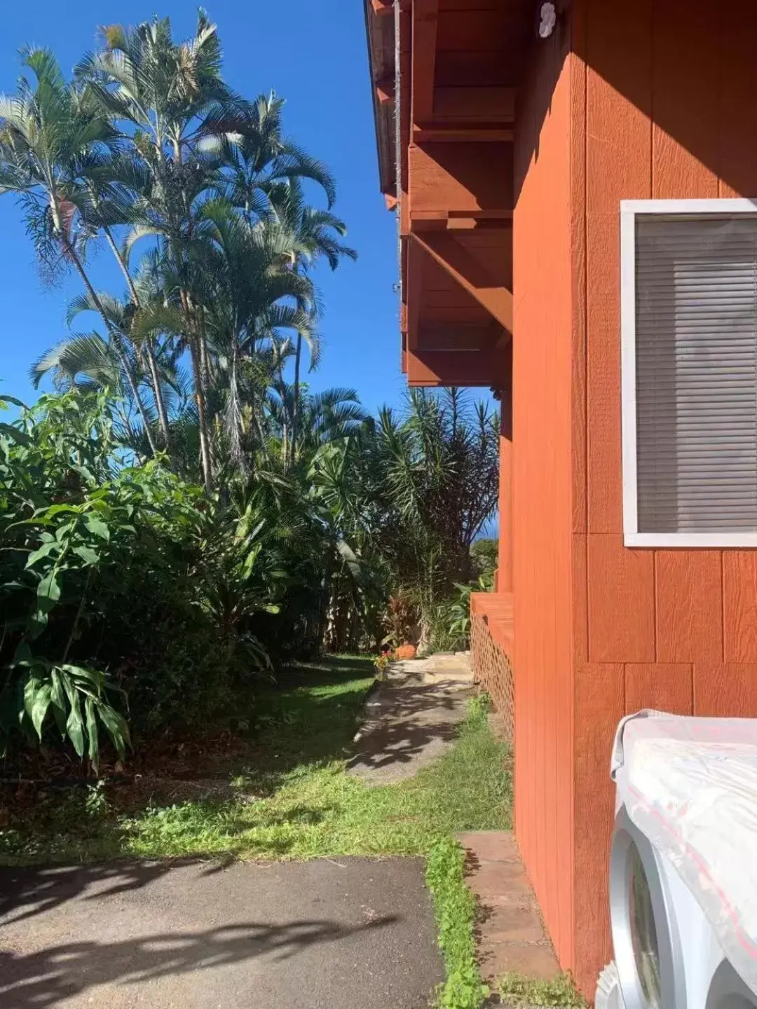 Patio in Coffee Garden