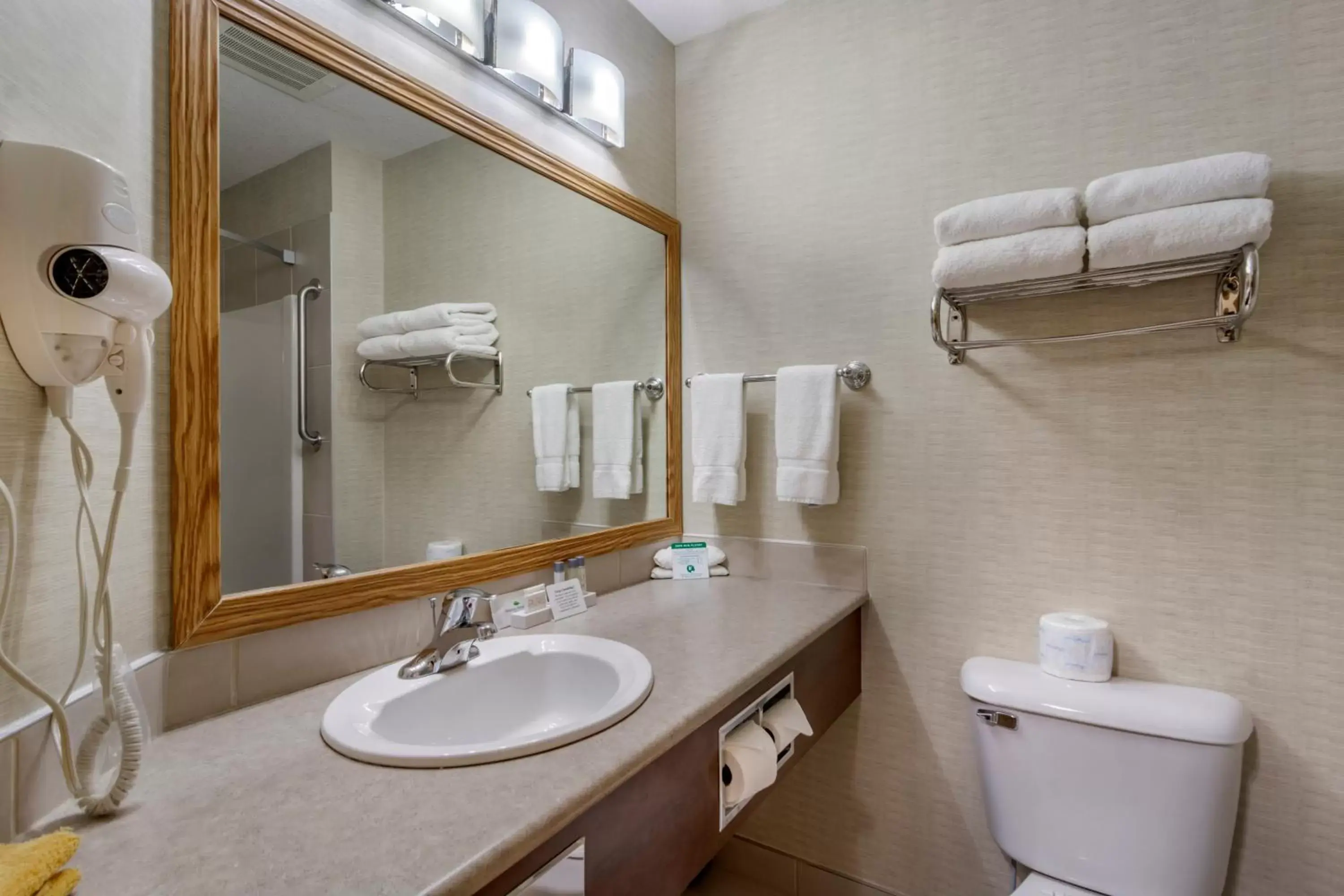 Bathroom in Devonian Hotel and Suites