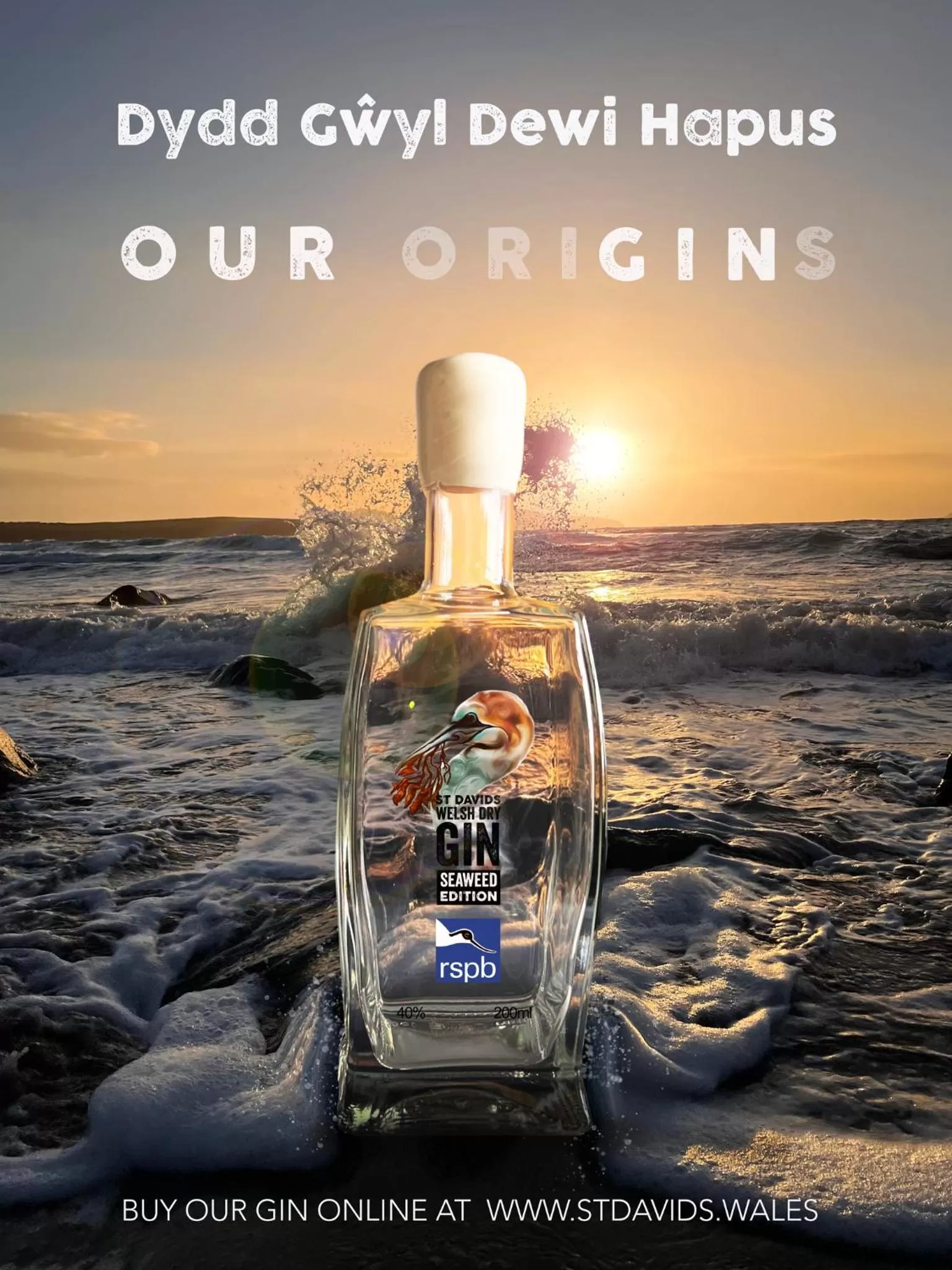 Activities in St Davids Gin & Kitchen - The Cathedral Villas