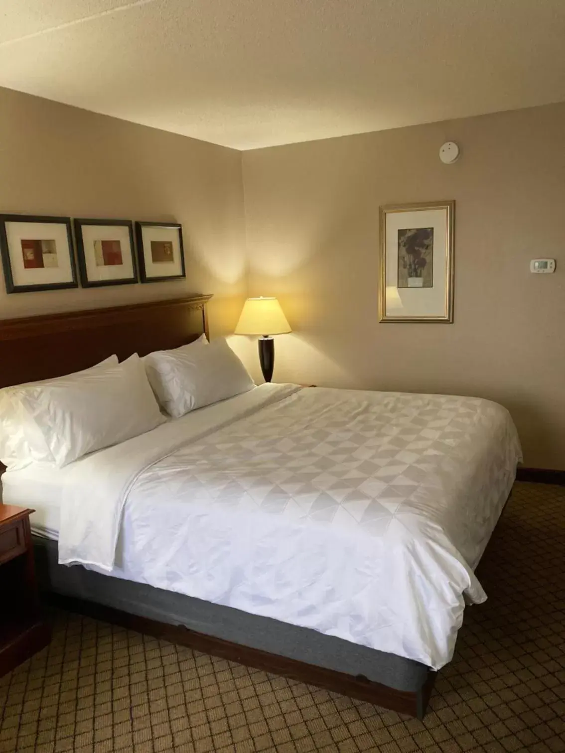 Bed in Holiday Inn Cincinnati-Eastgate, an IHG Hotel