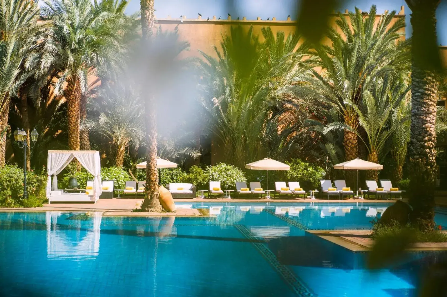 Garden, Swimming Pool in Berbère Palace