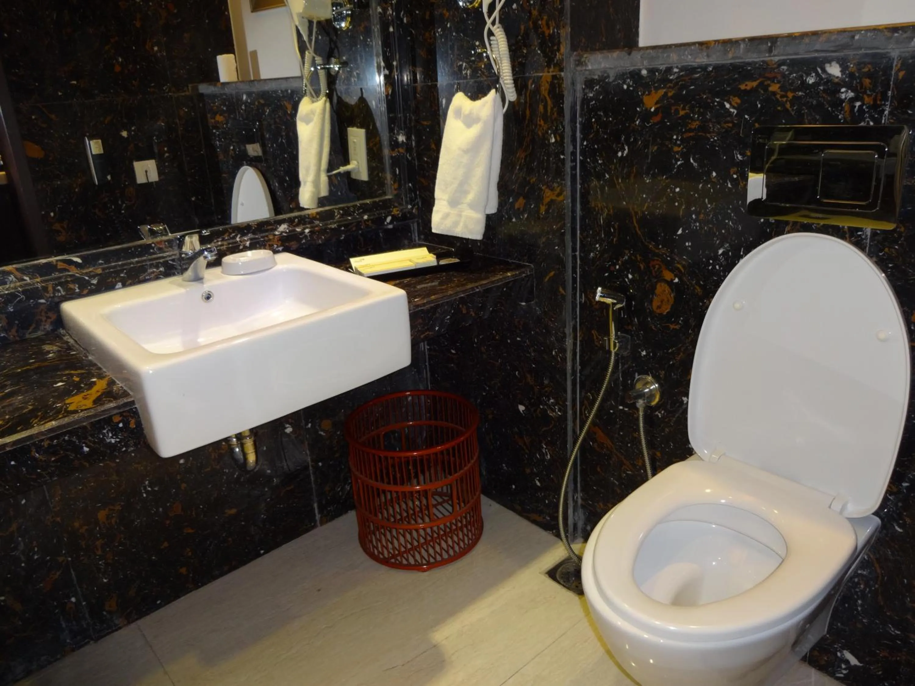 Bathroom in Savera Hotel