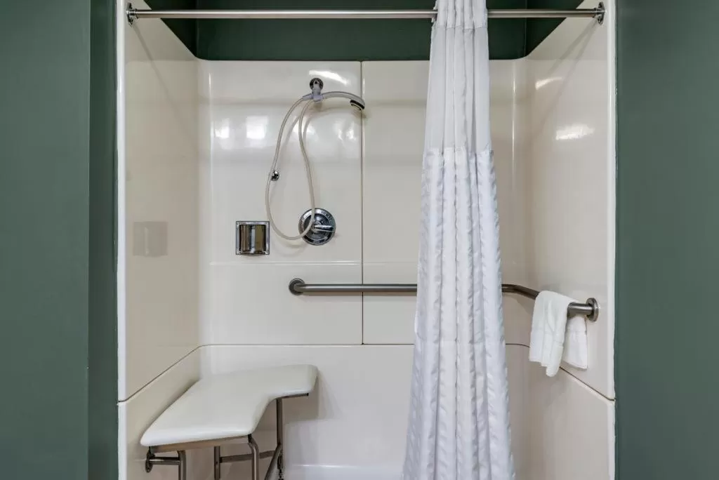 Toilet in Comfort Inn & Suites at Stone Mountain