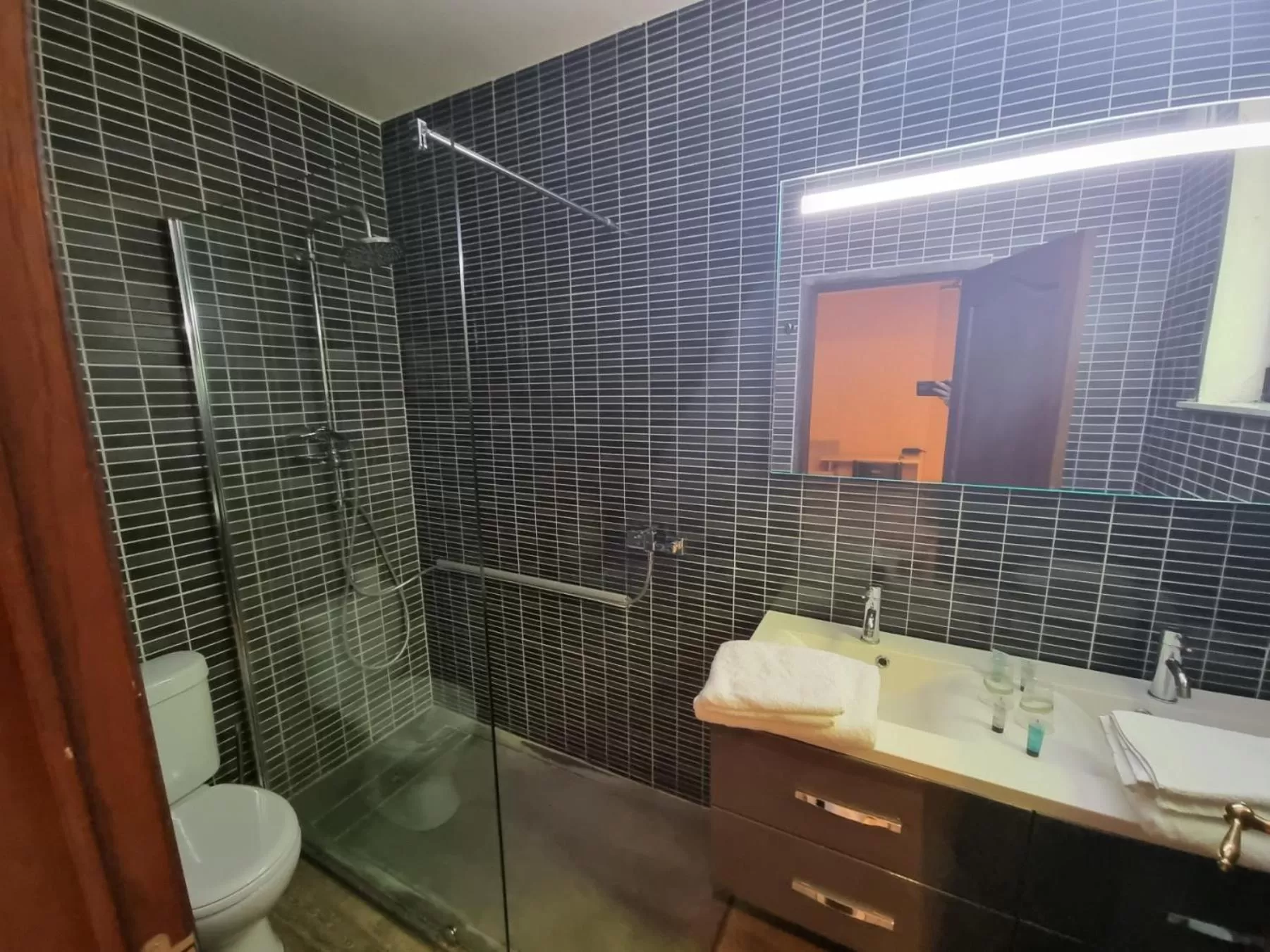 Toilet in Avalon Hotel