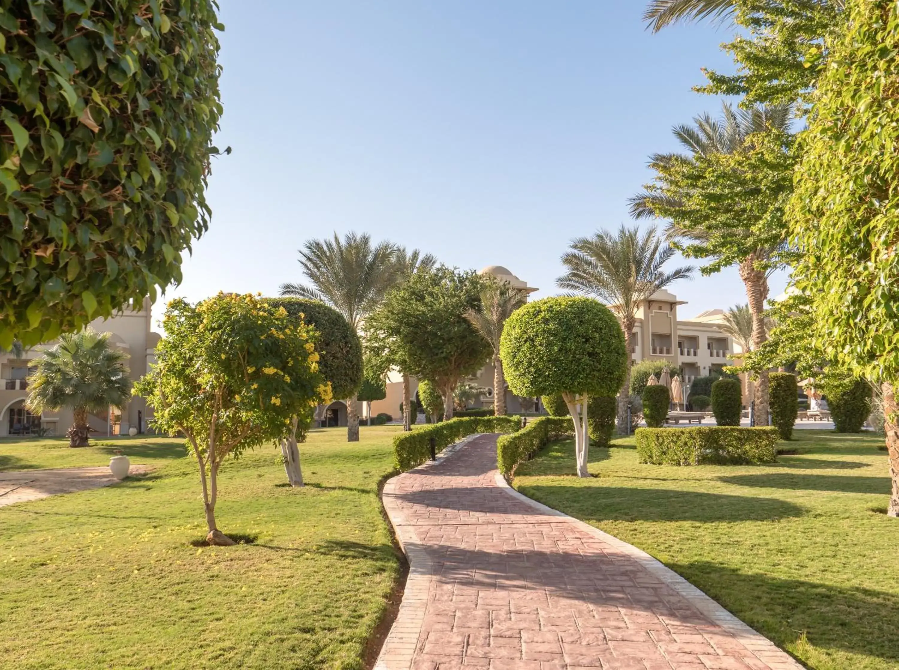 Garden in Serenity Makadi Beach