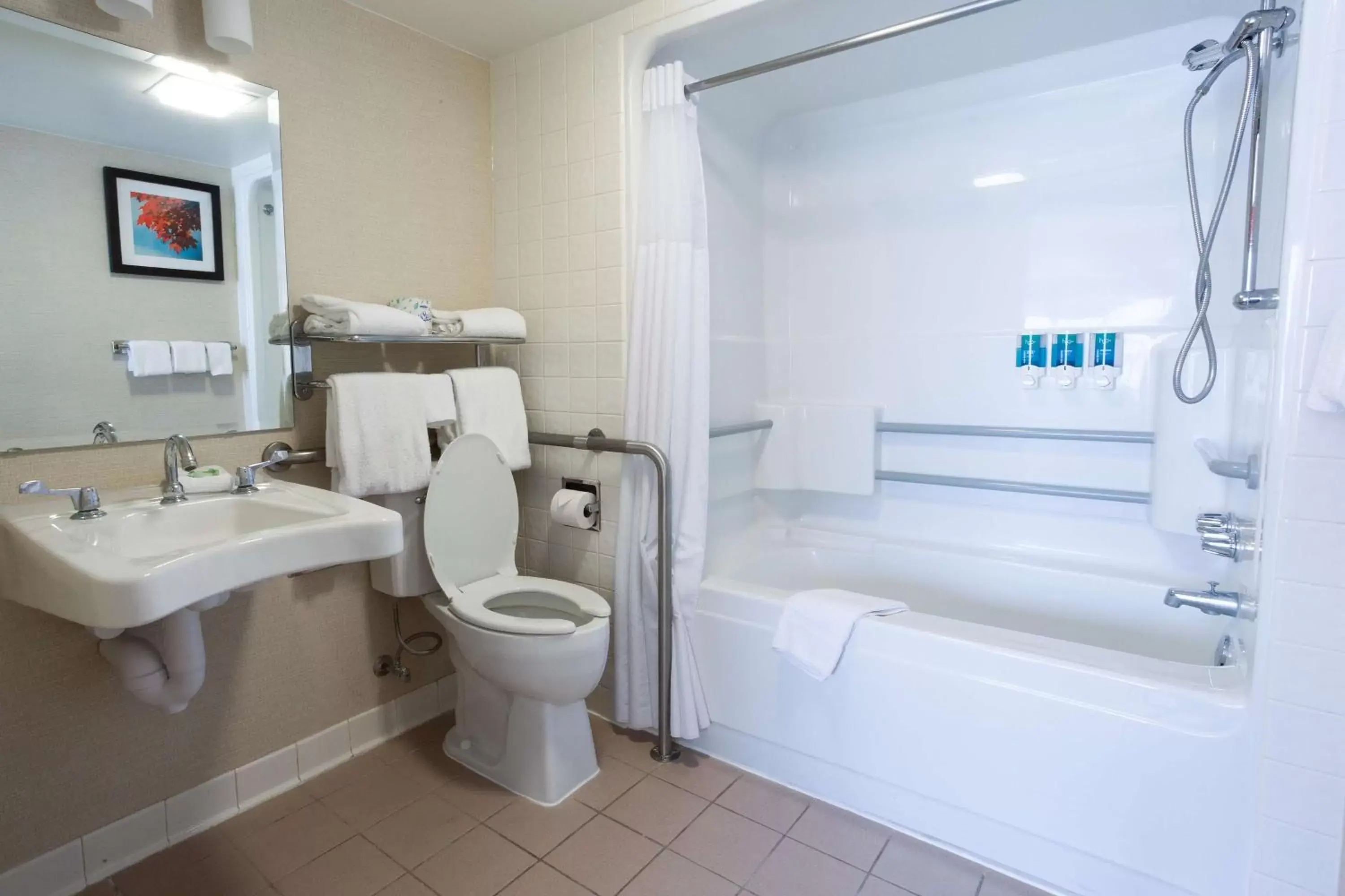 Deluxe Room with One Double Bed - Accessible, Tub in Pear Tree Inn Terre Haute Deluxe Room with One Double Bed - Accessible, Tub in Pear Tree Inn Terre Haute