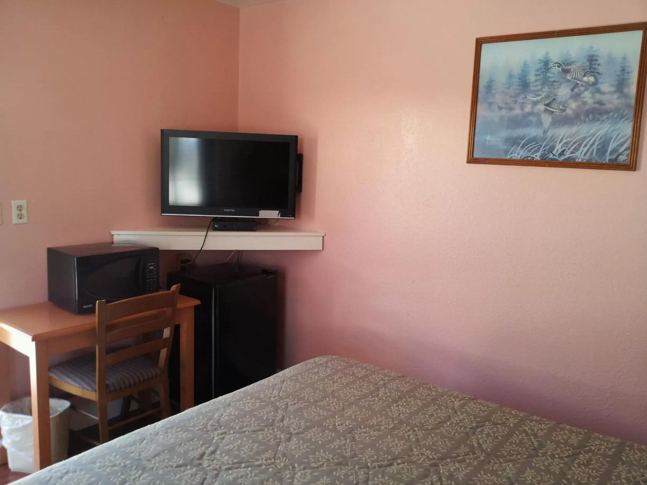 Bedroom, TV/Entertainment Center in Travel Eagle Inn Motel