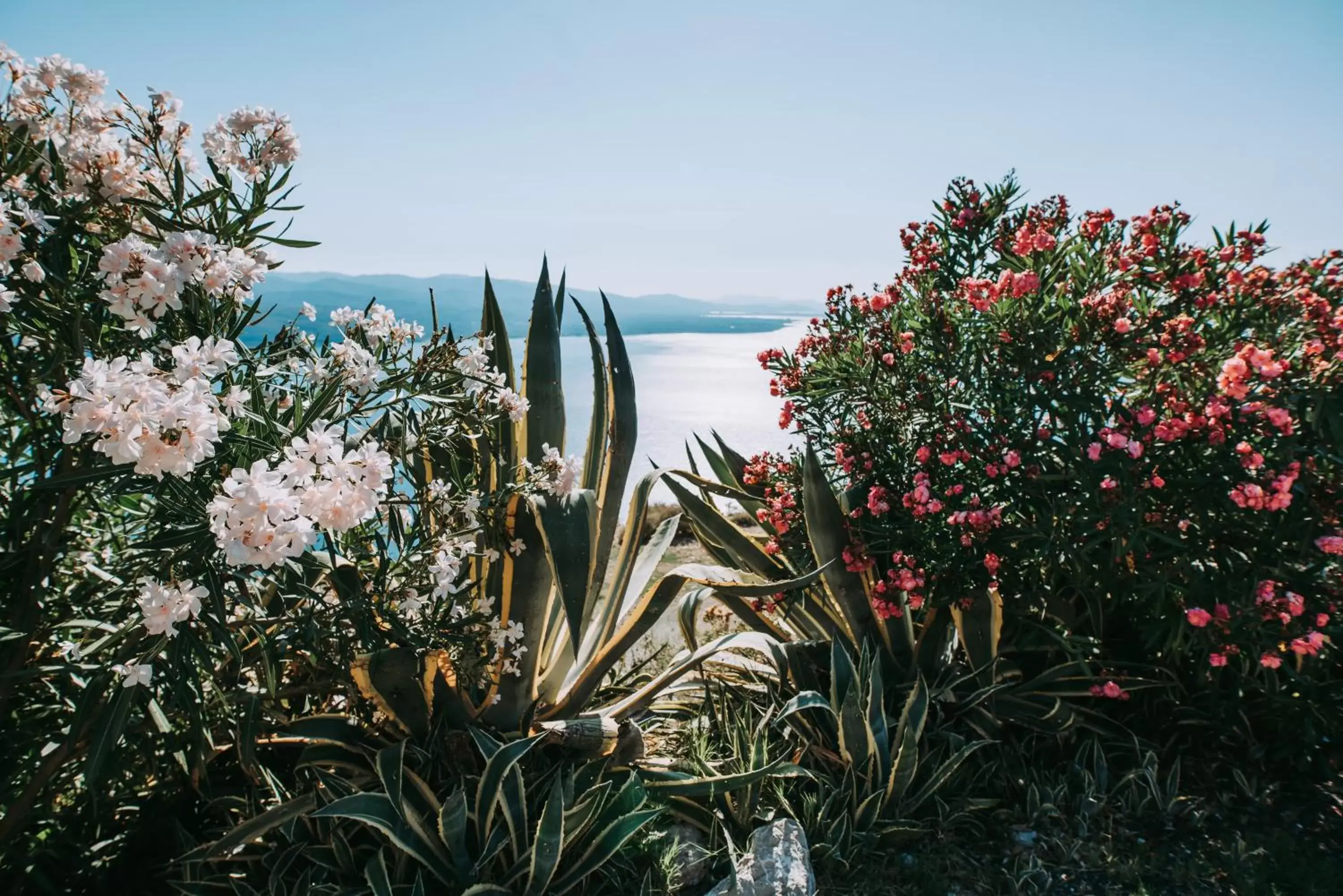 Natural landscape in Althaia Hotel