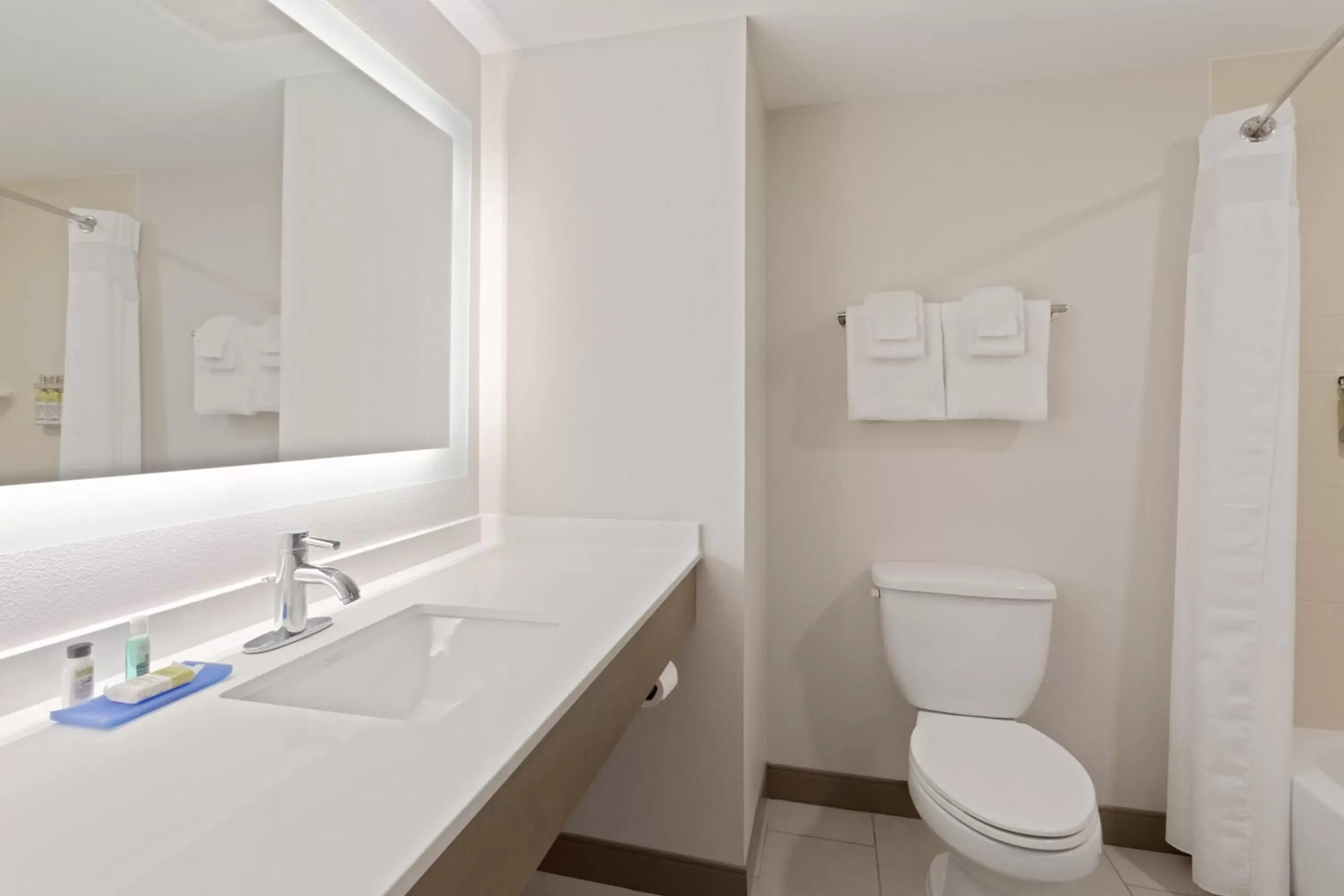Photo of the whole room, Bathroom in Holiday Inn Express Hotel & Suites Largo-Clearwater, an IHG Hotel