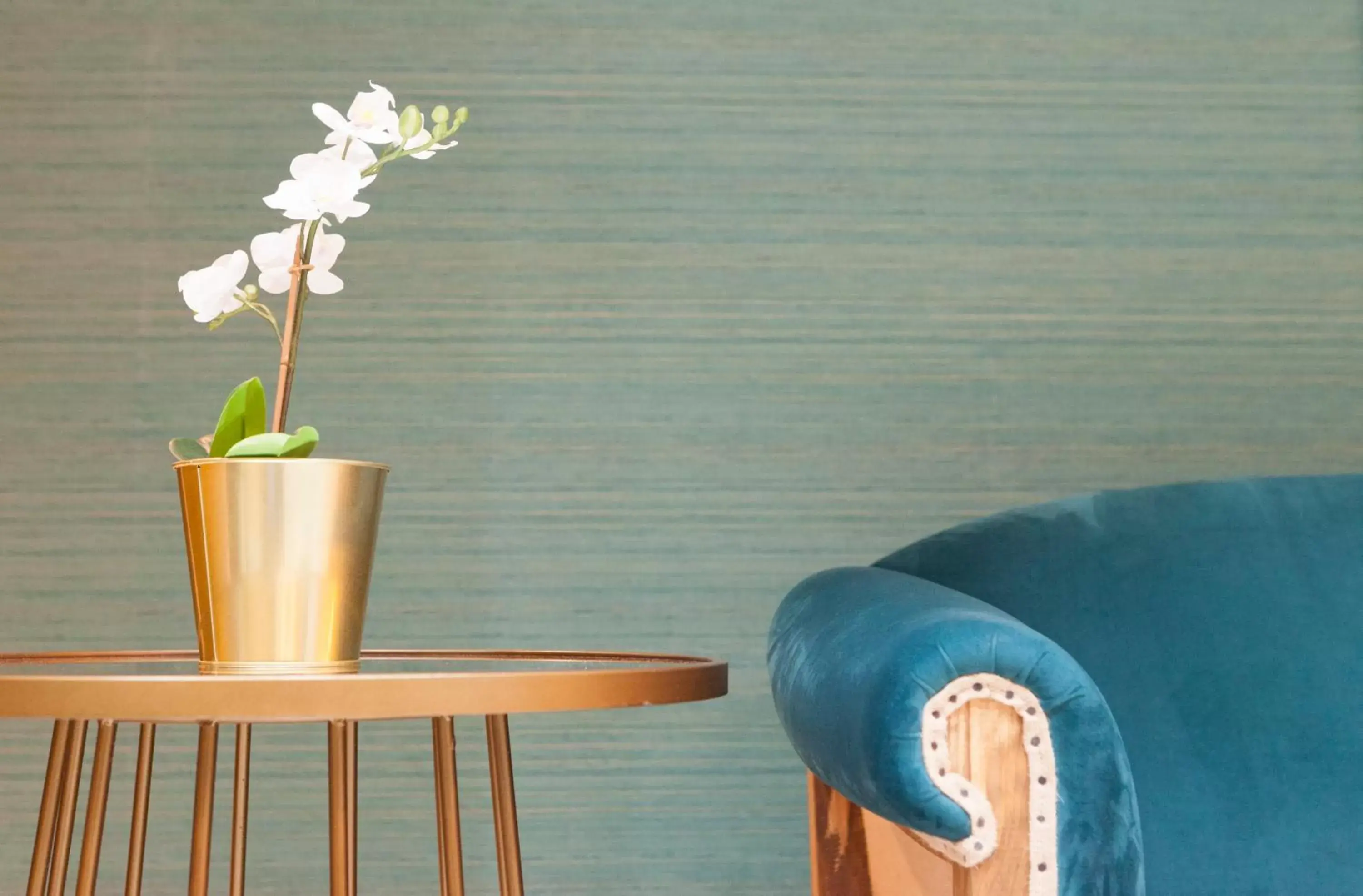 Lobby or reception in Petit Palace Canalejas Sevilla Lobby or reception in Petit Palace Canalejas Sevilla