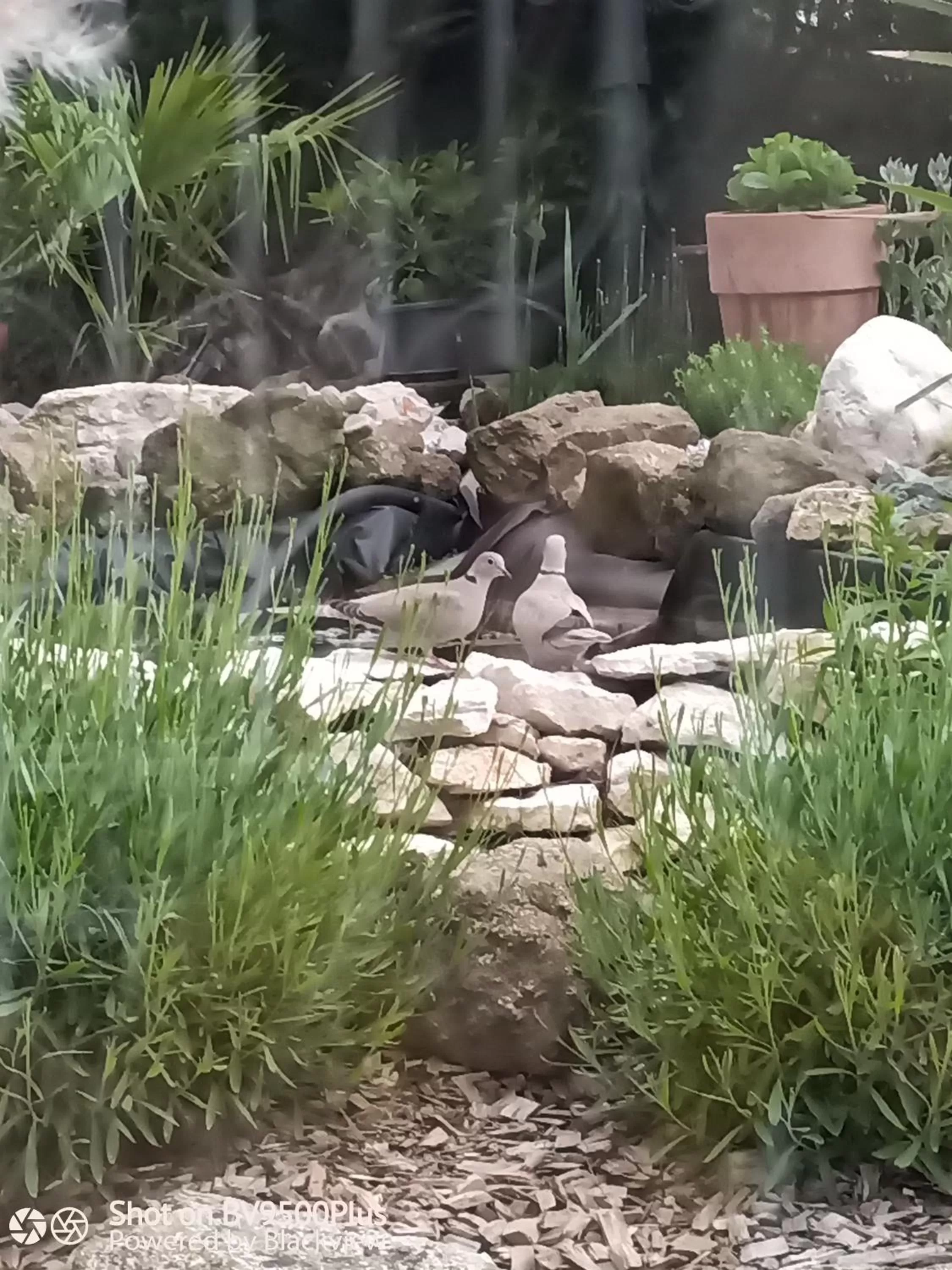 Natural landscape in Chez Sophie et Gilles