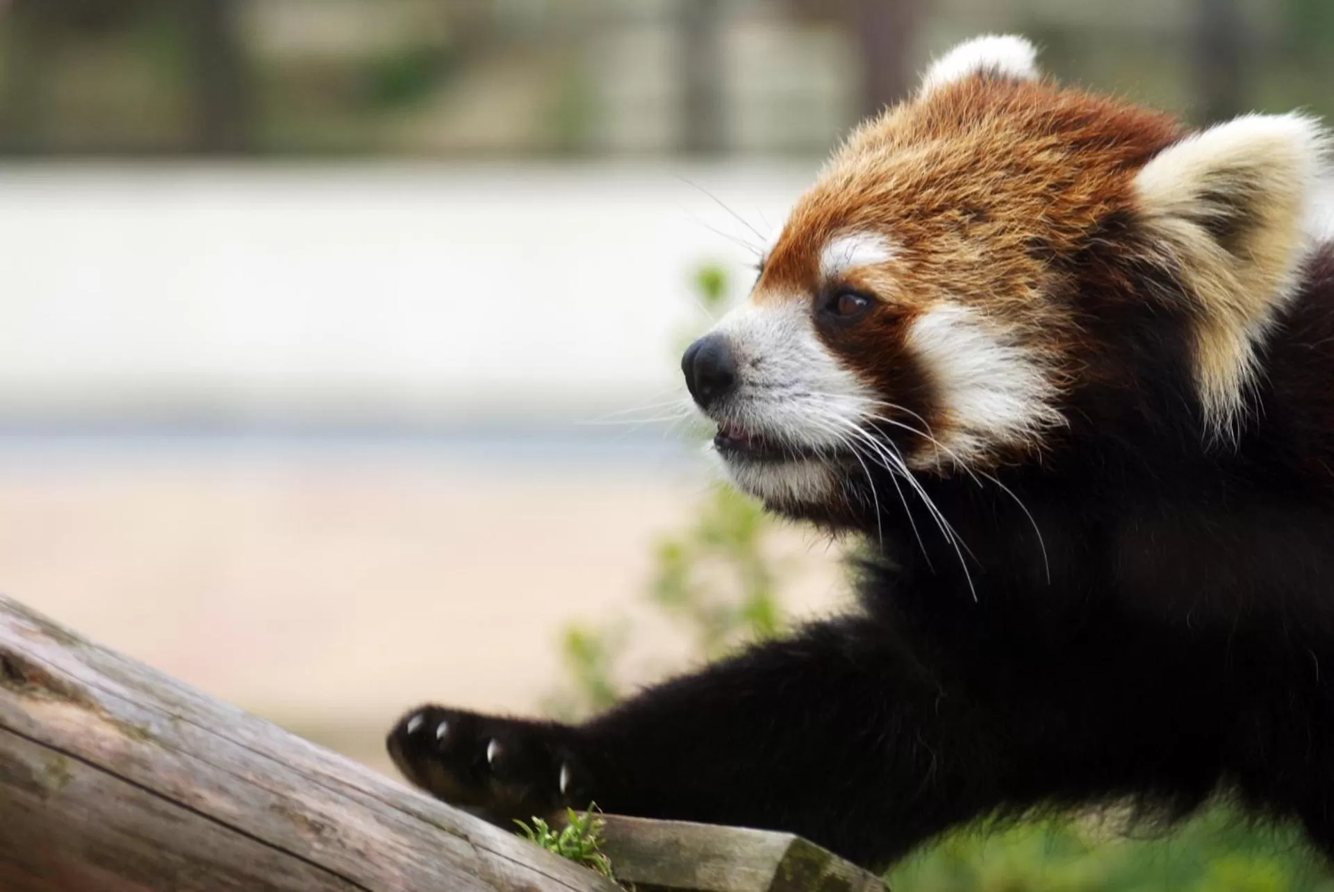 Nearby landmark in KOKO HOTEL Kyoto Sanjo - formerly Hotel Wing International Premium Kyoto Sanjo