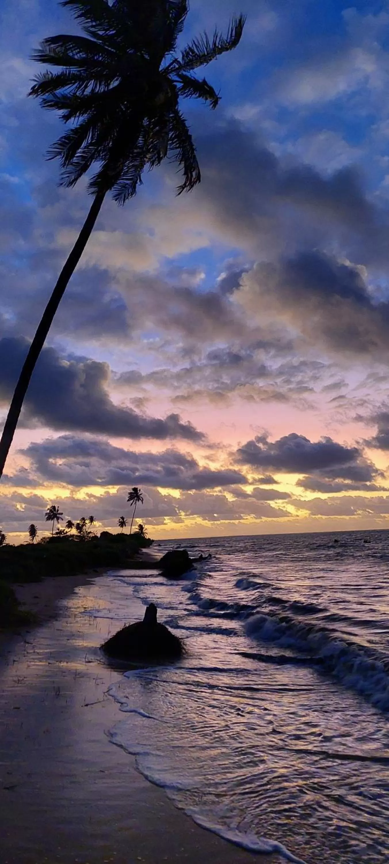 Natural landscape in Arataba Hotel Boutique e Bistrô - 150 mts do mar